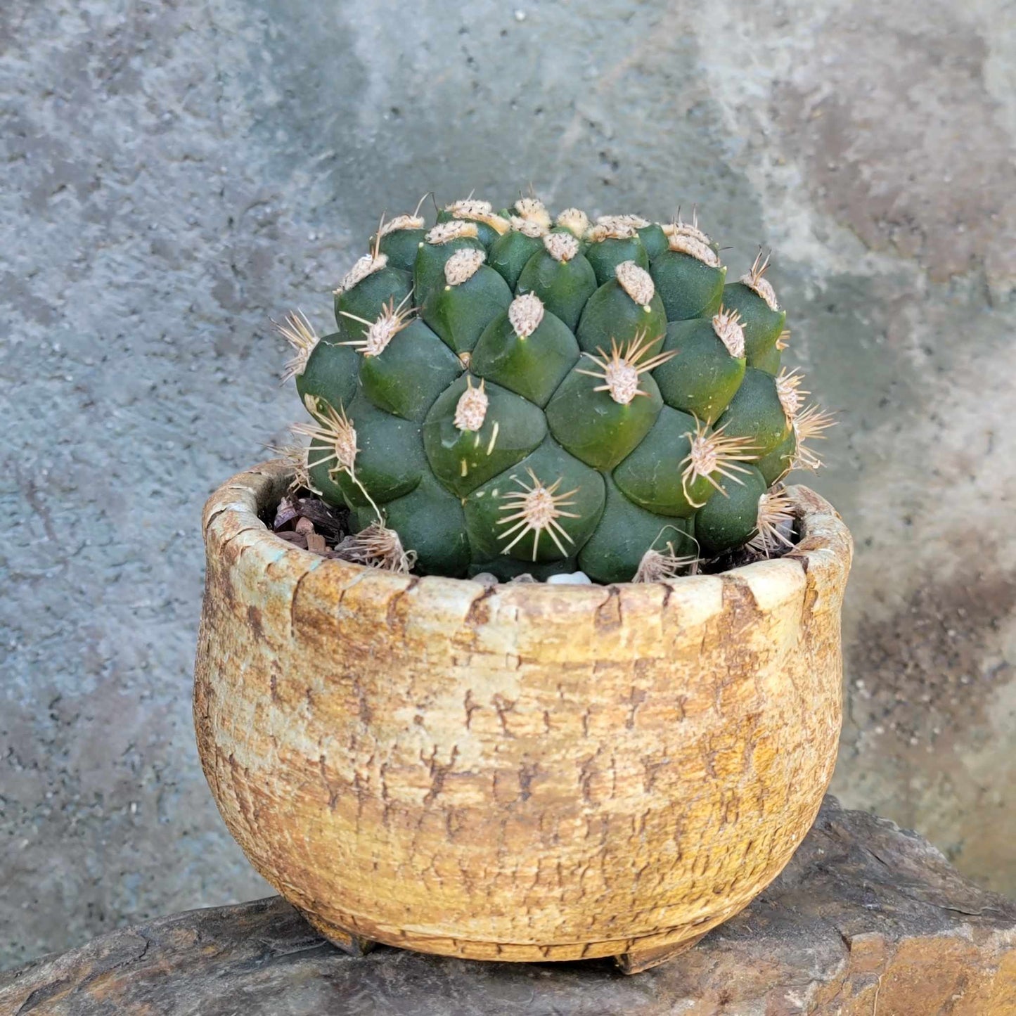 Handmade Pottery image 1