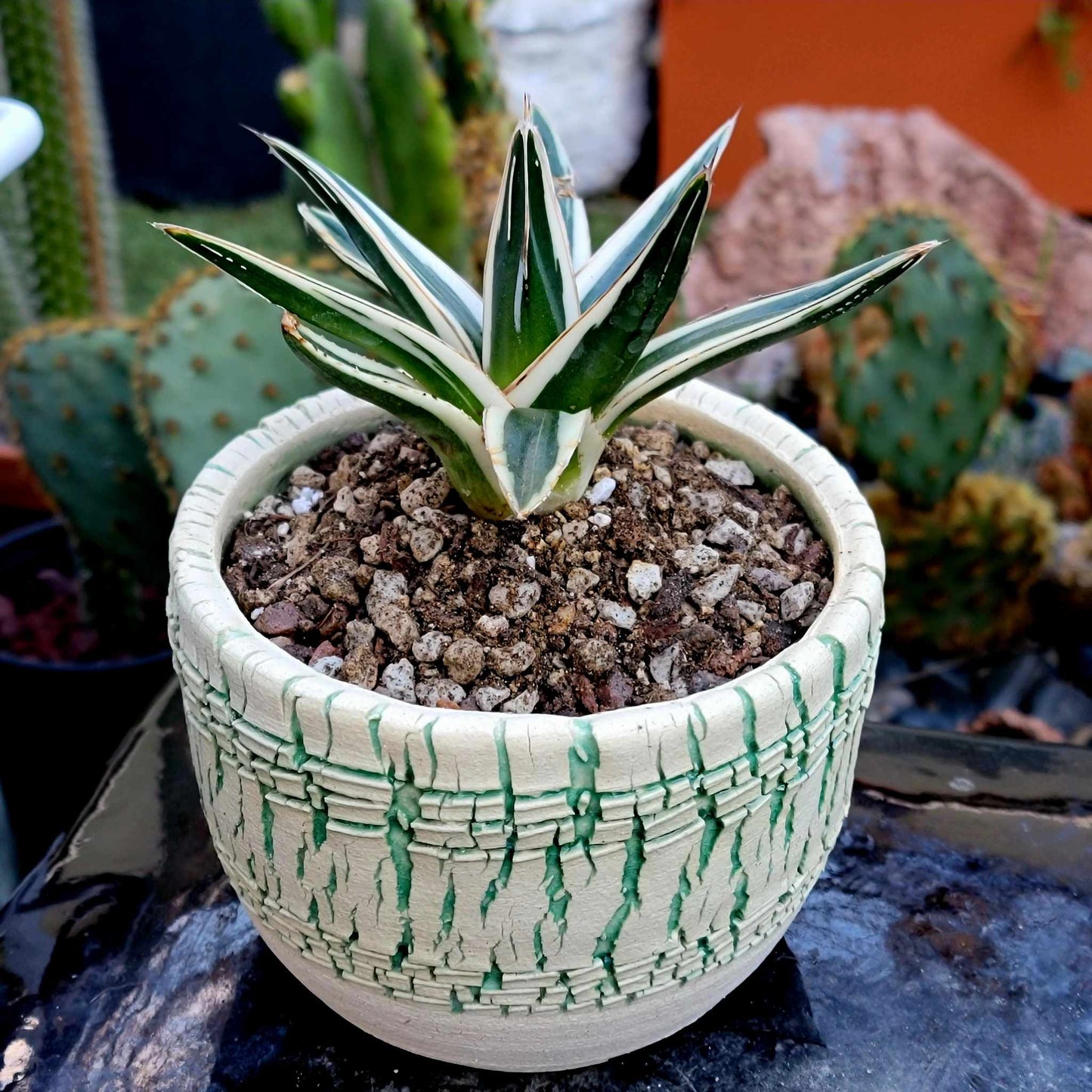 Peety Pots by Pablo Handmade Pottery image 3