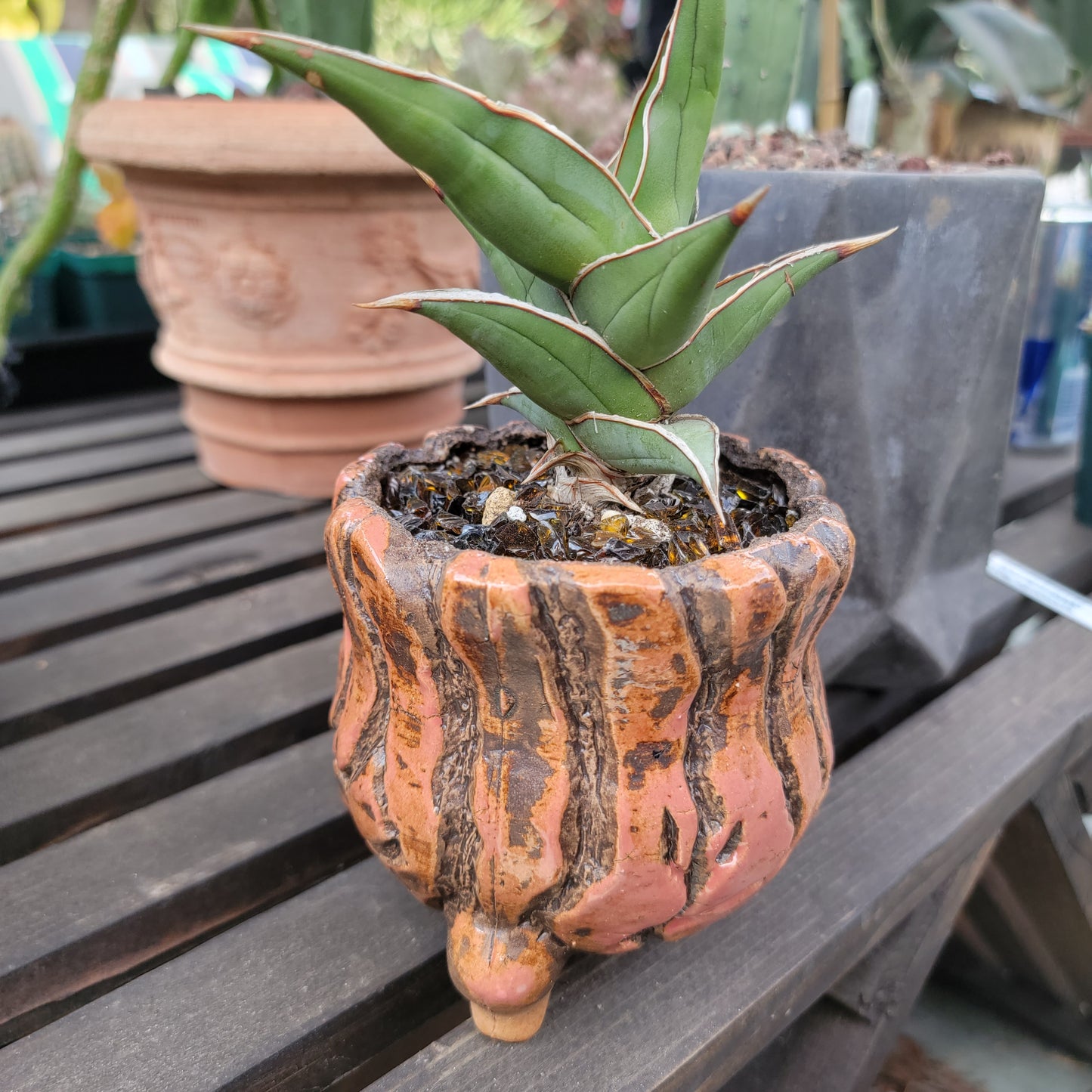 Terra Cotta Planter