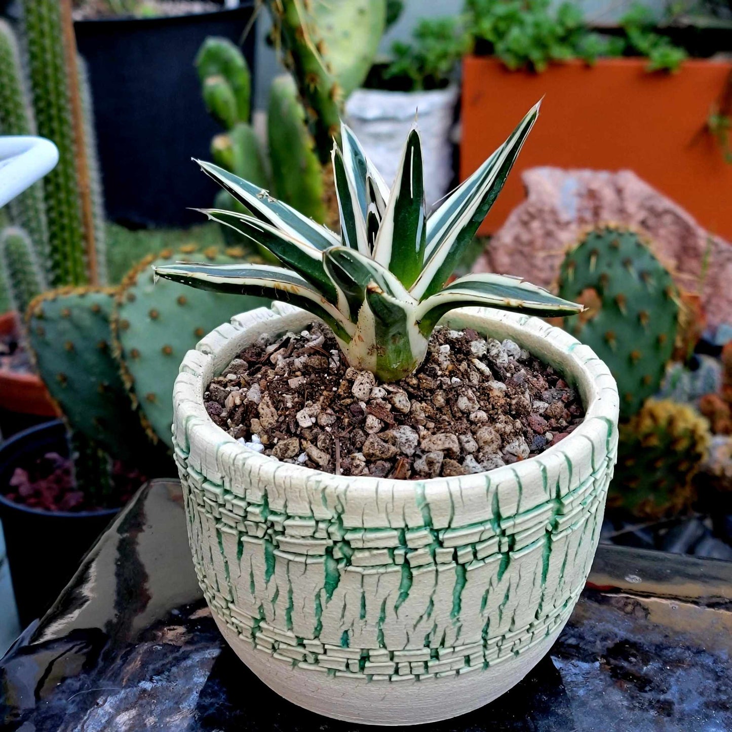 Peety Pots by Pablo Handmade Pottery image 1