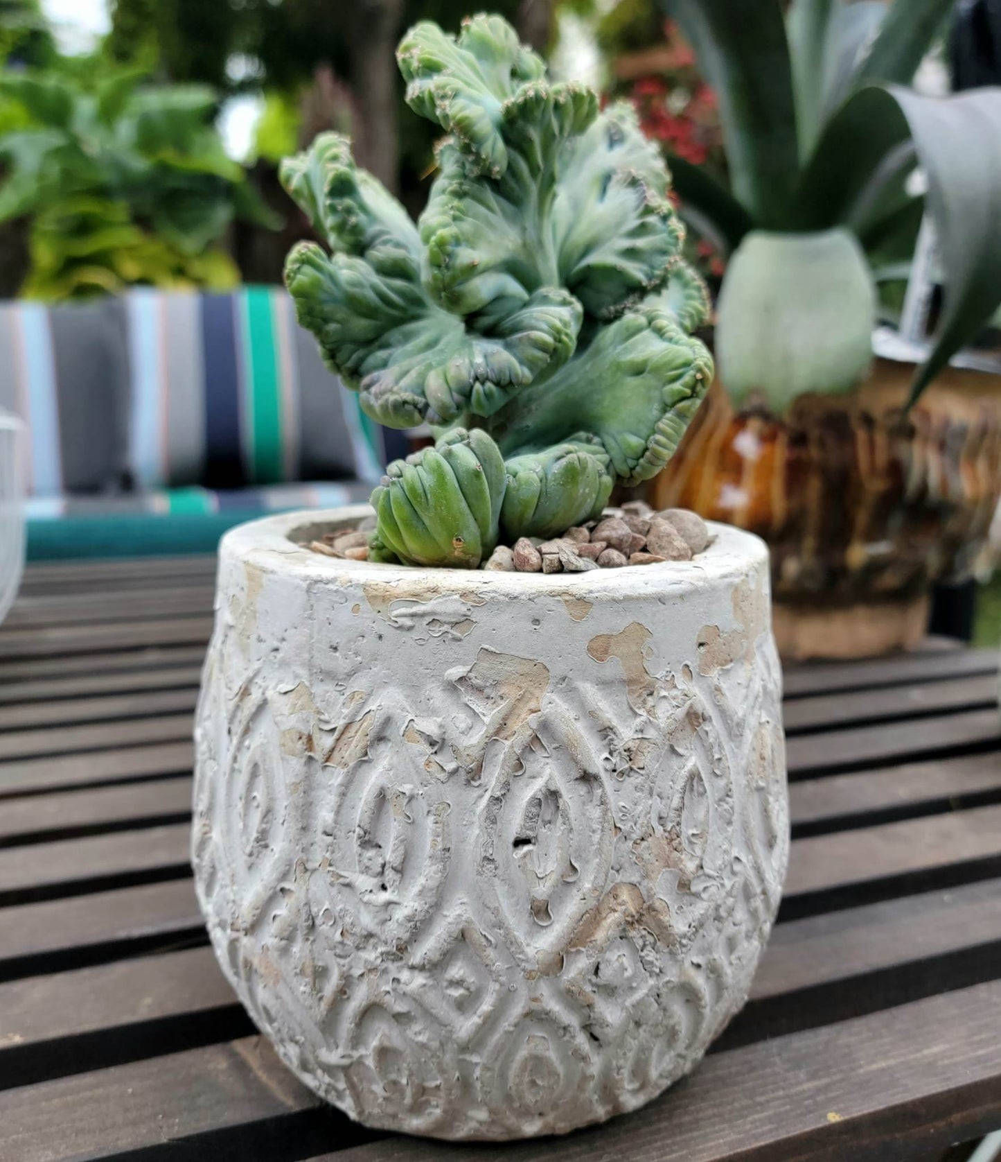Shabby Chic Cement Planter