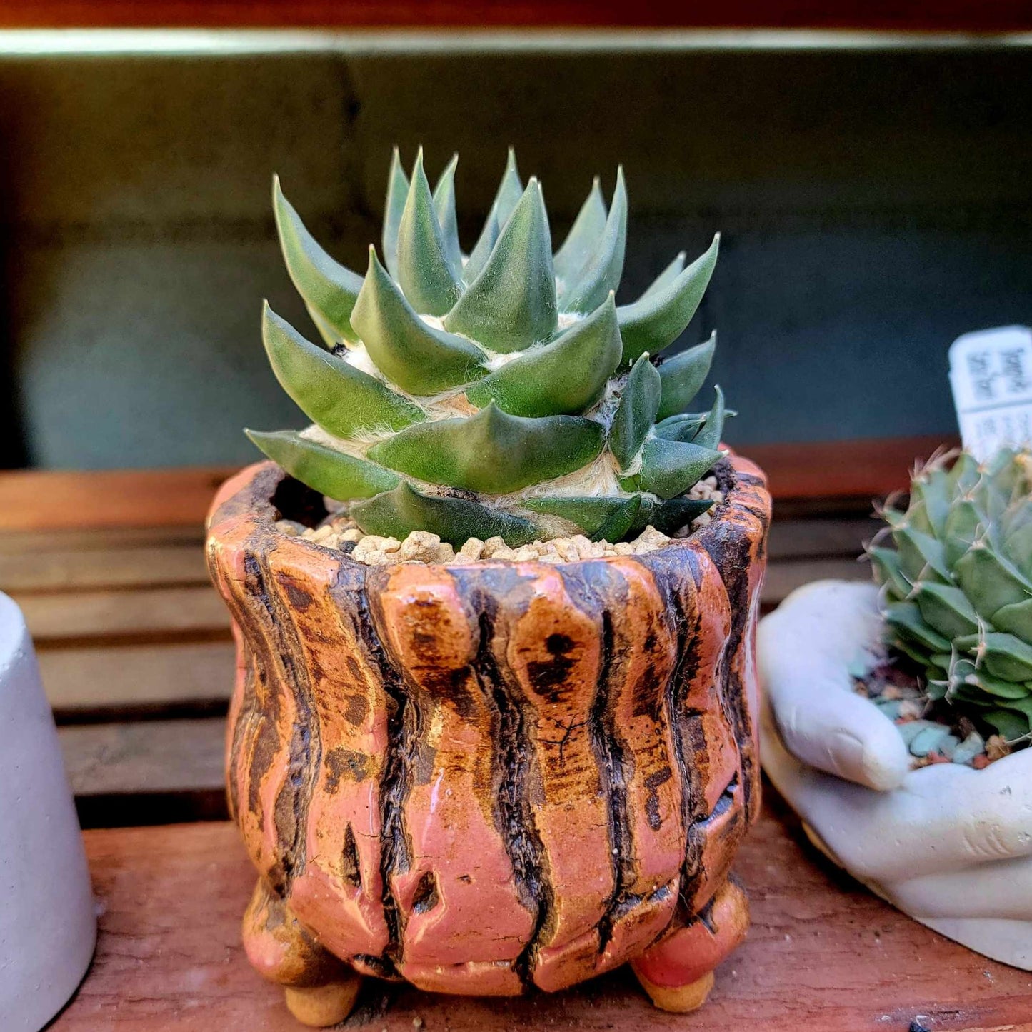 Terra Cotta Planter