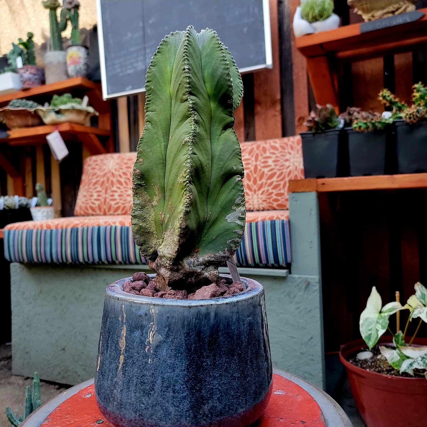 Glazed Terra Cotta Planter - Blue-Gray