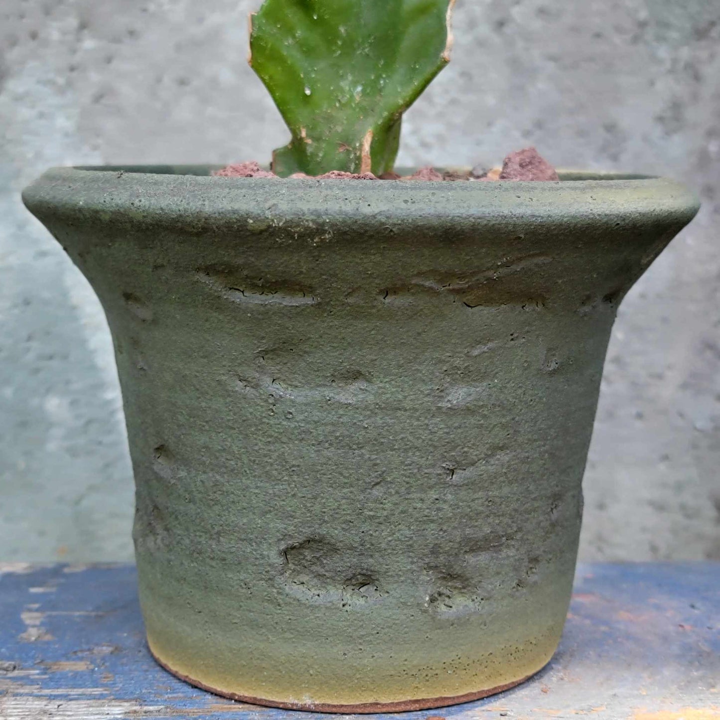 Peety Pots by Pablo Handmade Pottery image 3