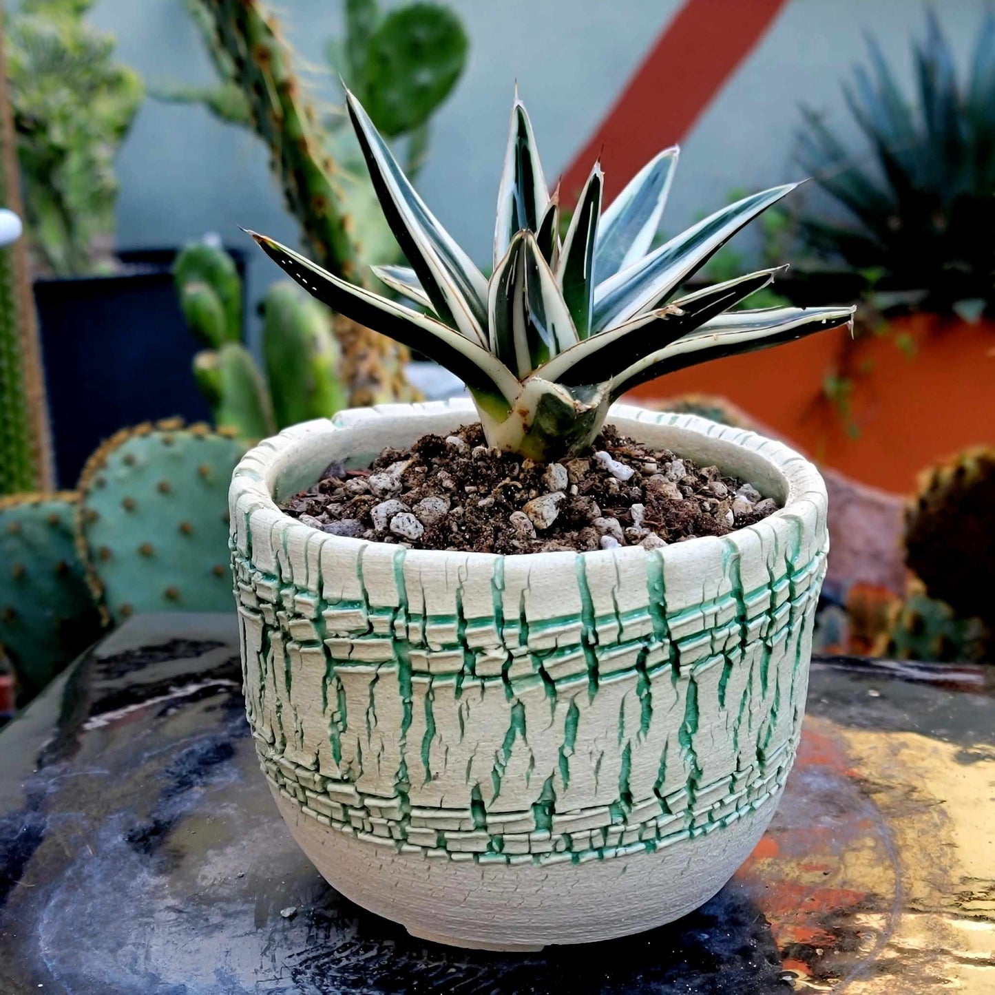 Peety Pots by Pablo Handmade Pottery image 2