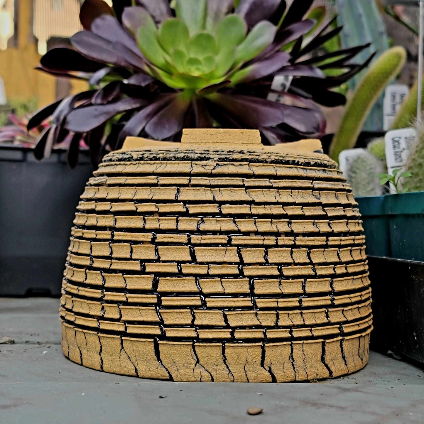 Peety Pots by Pablo Handmade Pottery image 4