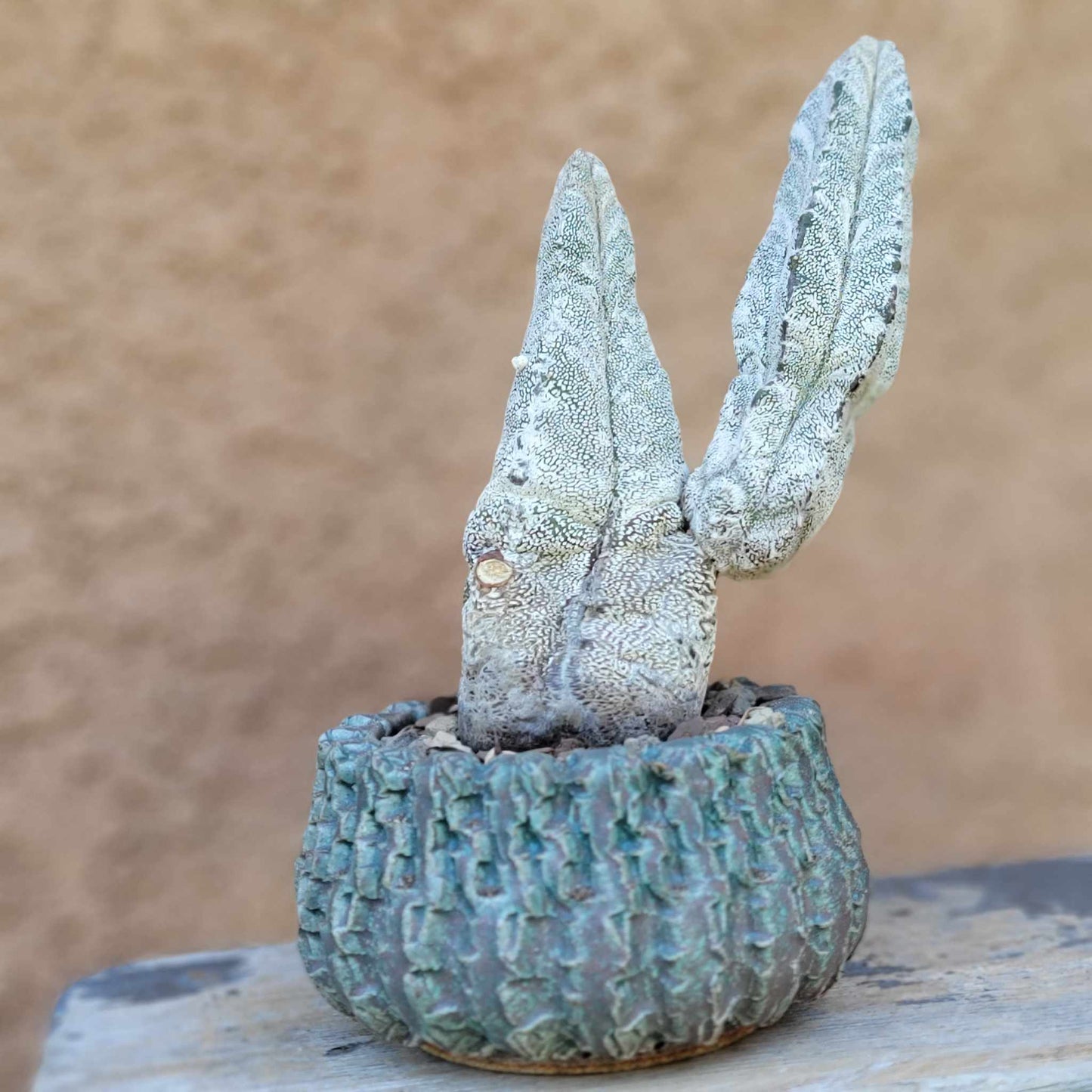 Handmade Pottery