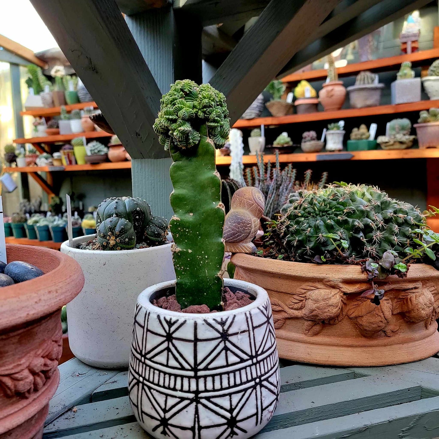 Glazed Geometric Black and White Terra Cotta Planter