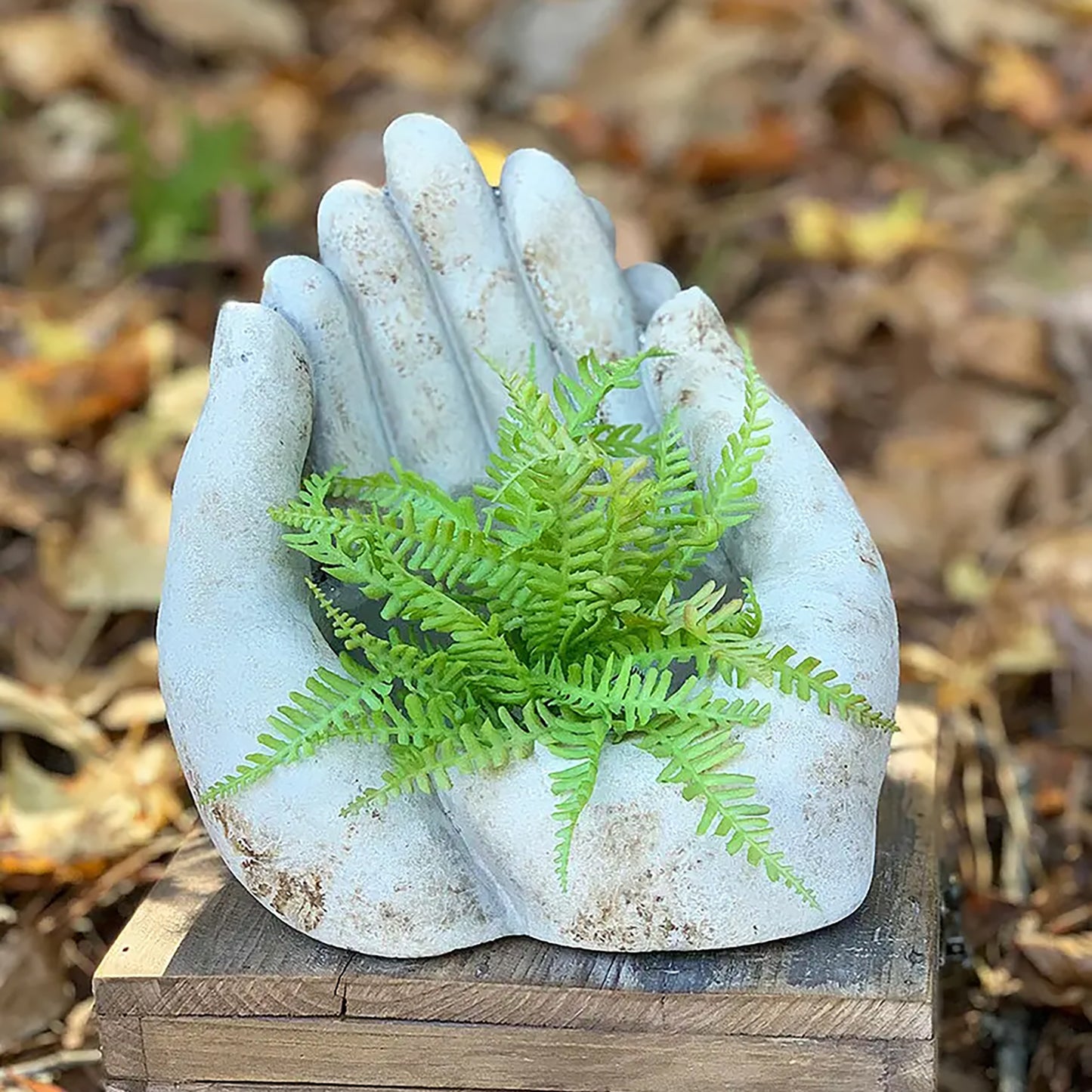 Cement Hands Cactus Succulent Planter - Large