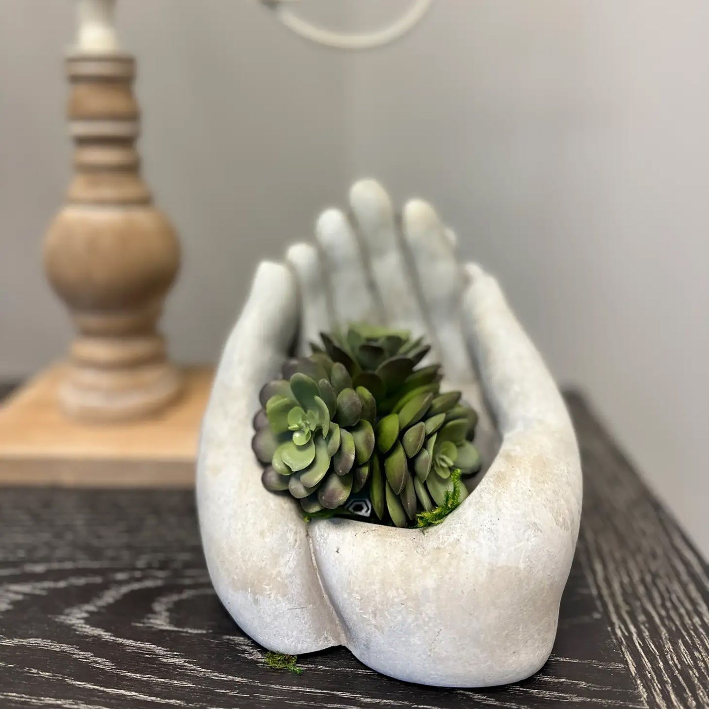 Cement Hands Cactus Succulent Planter - Large