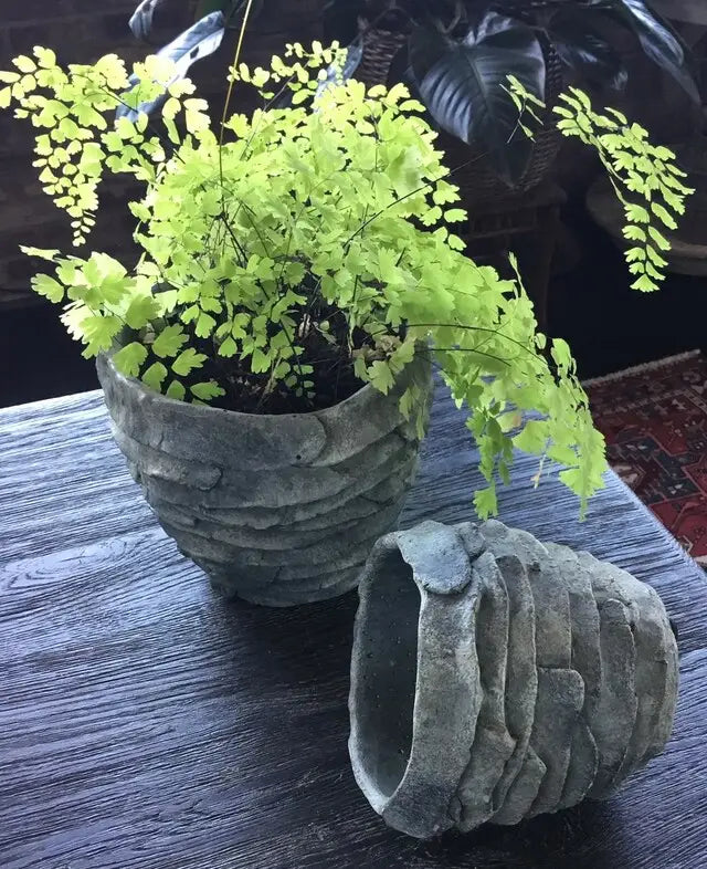 Palm Leaf Concrete Planter - Large