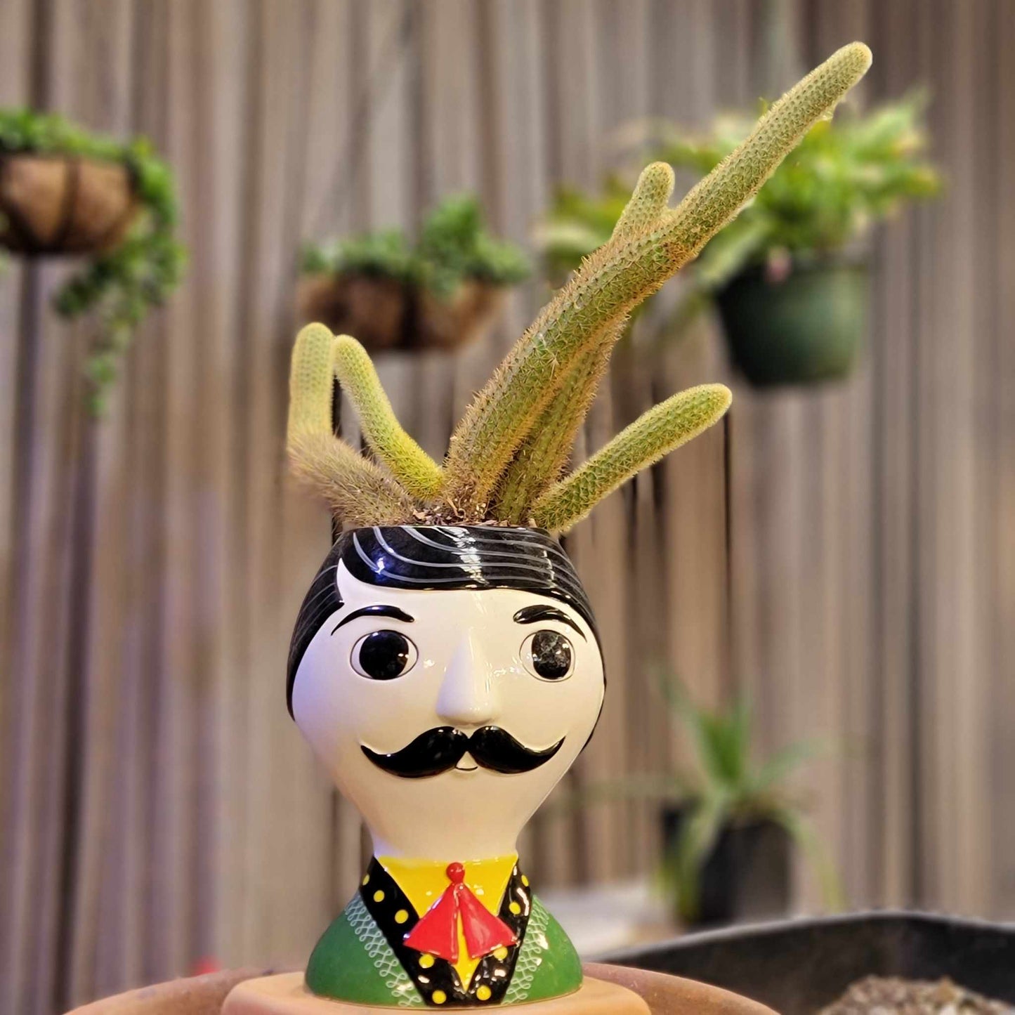 Ceramic Vase - Señor