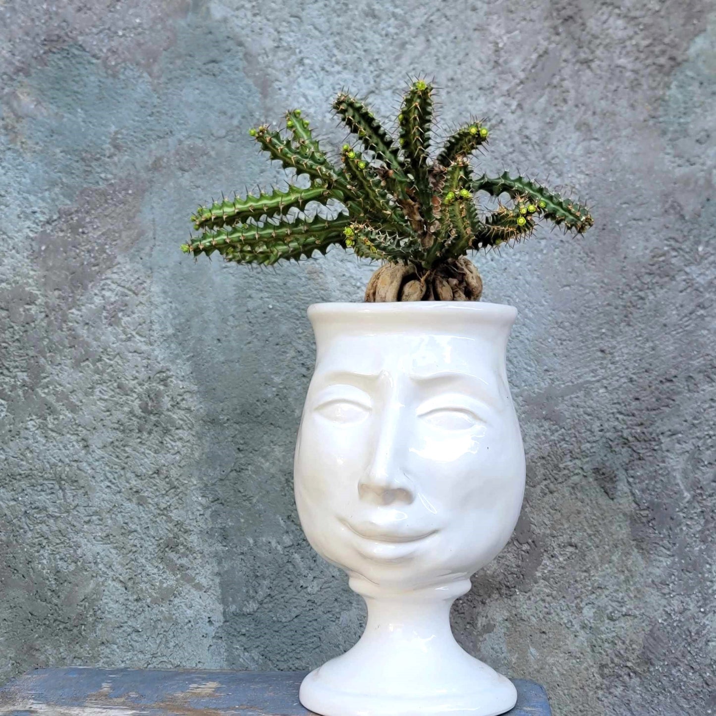 Moor's Head Caltagirone Ceramic Vase - New Age Line - Donna