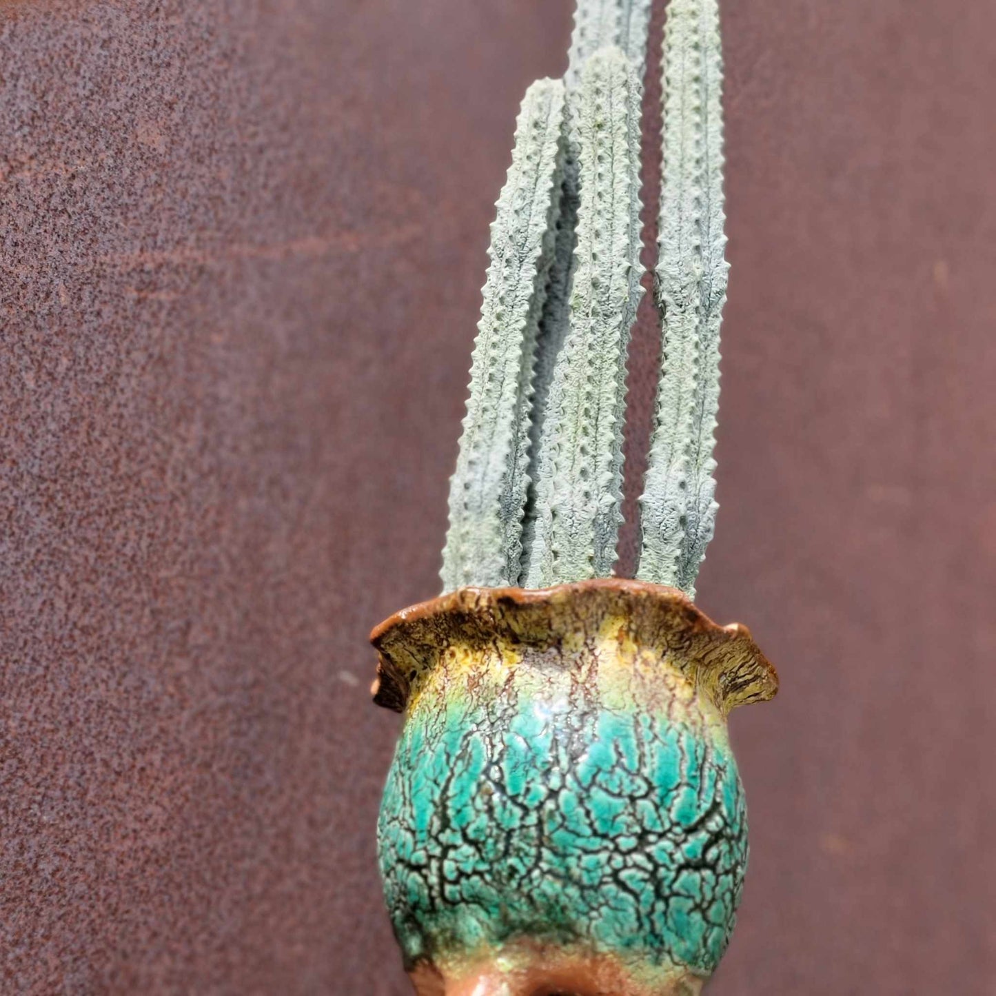 Terra Cotta Planter