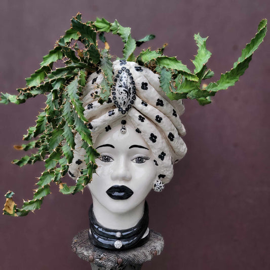 Euphorbia clavigera f. persistens - BIG - Seed Grown