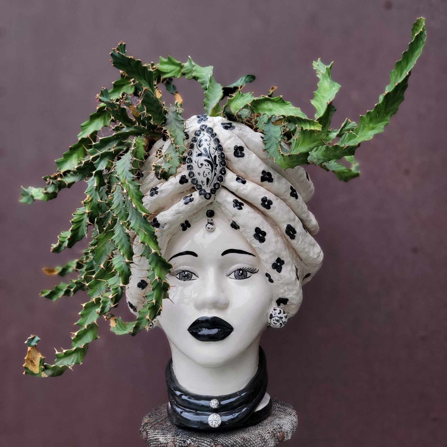 Euphorbia clavigera f. persistens - BIG - Seed Grown