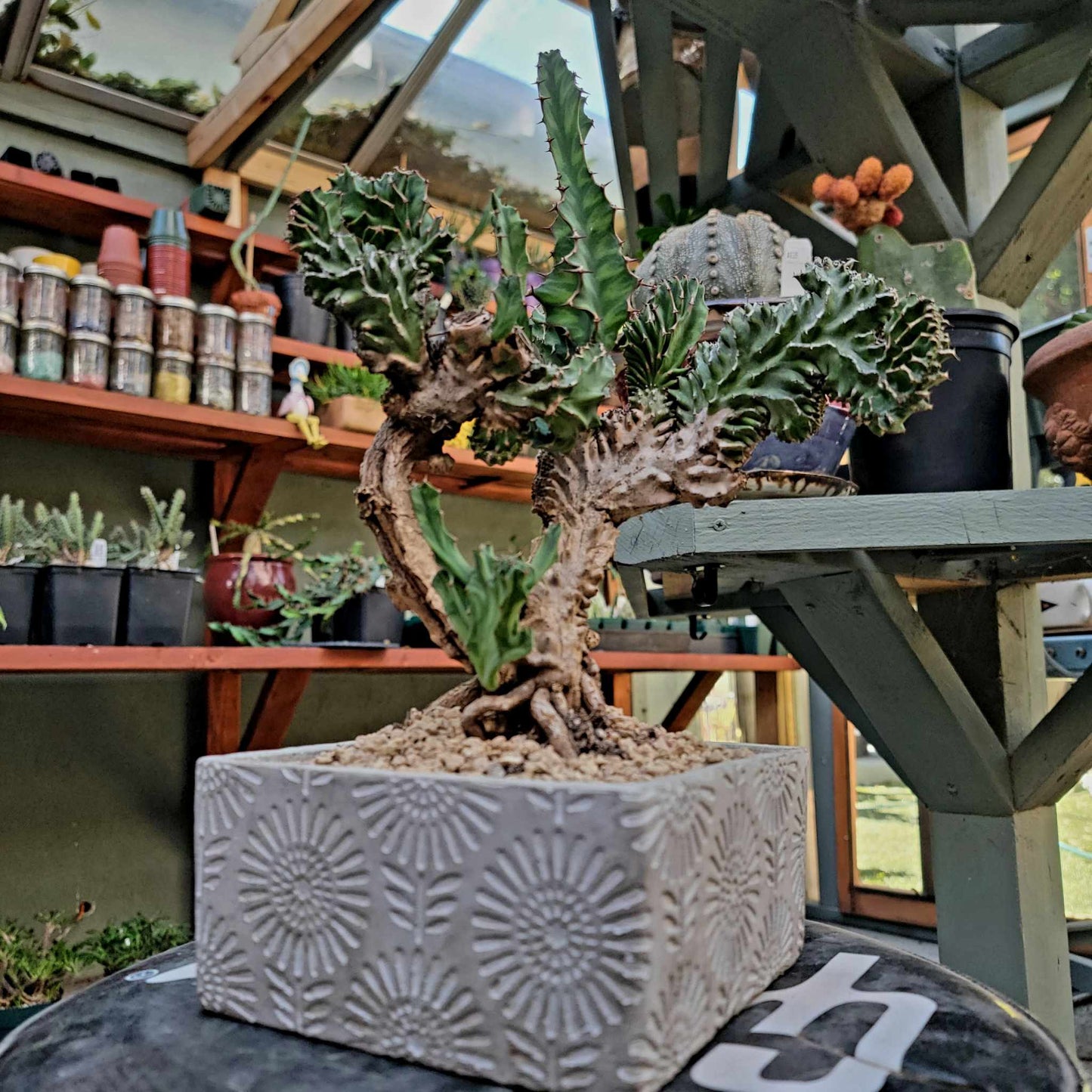 Cement Planter - Engraved - Square