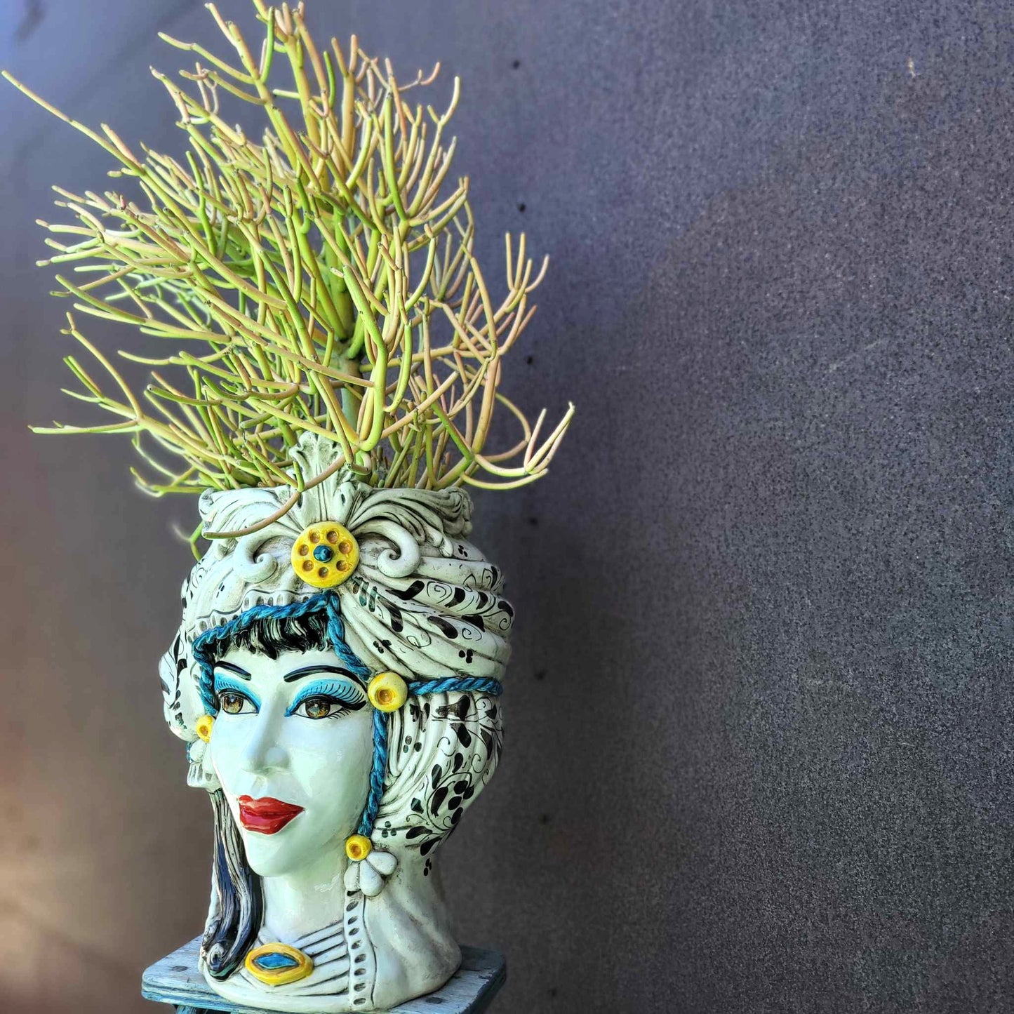 Euphorbia tirucalli - Fire Sticks - Pencil Cactus