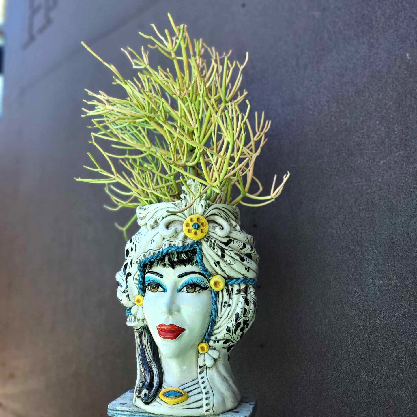 Euphorbia tirucalli - Fire Sticks - Pencil Cactus