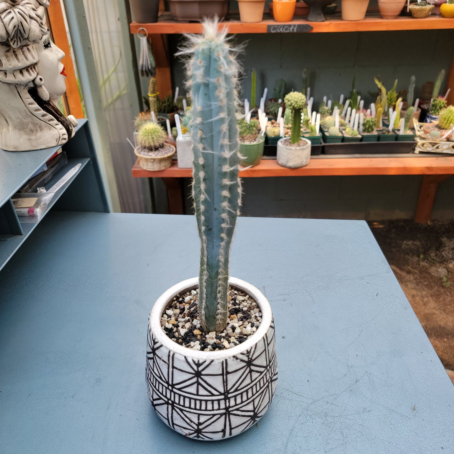 Glazed Geometric Black and White Terra Cotta Planter