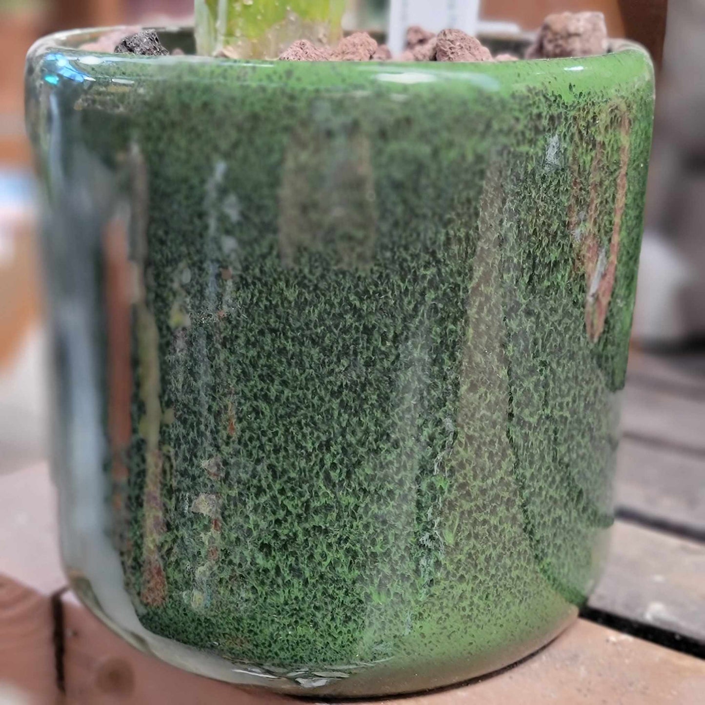 Glazed Terra Cotta Planter - Emerald
