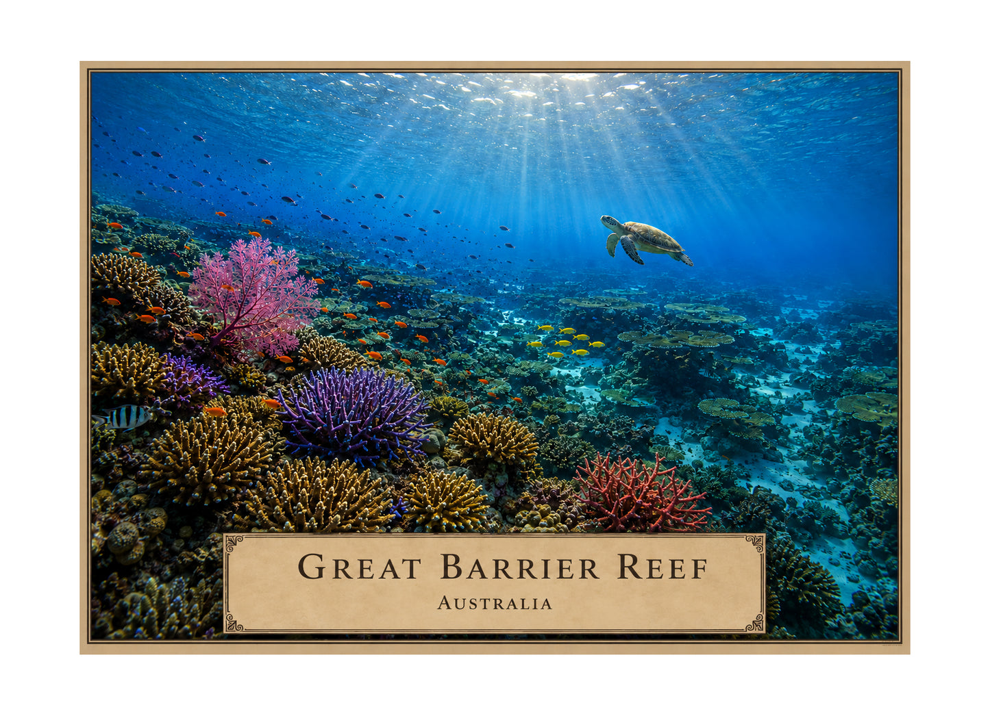 Great Barrier Reef botanical expedition 5 x 7 art card by Shangri-Ha Cactus Ranch