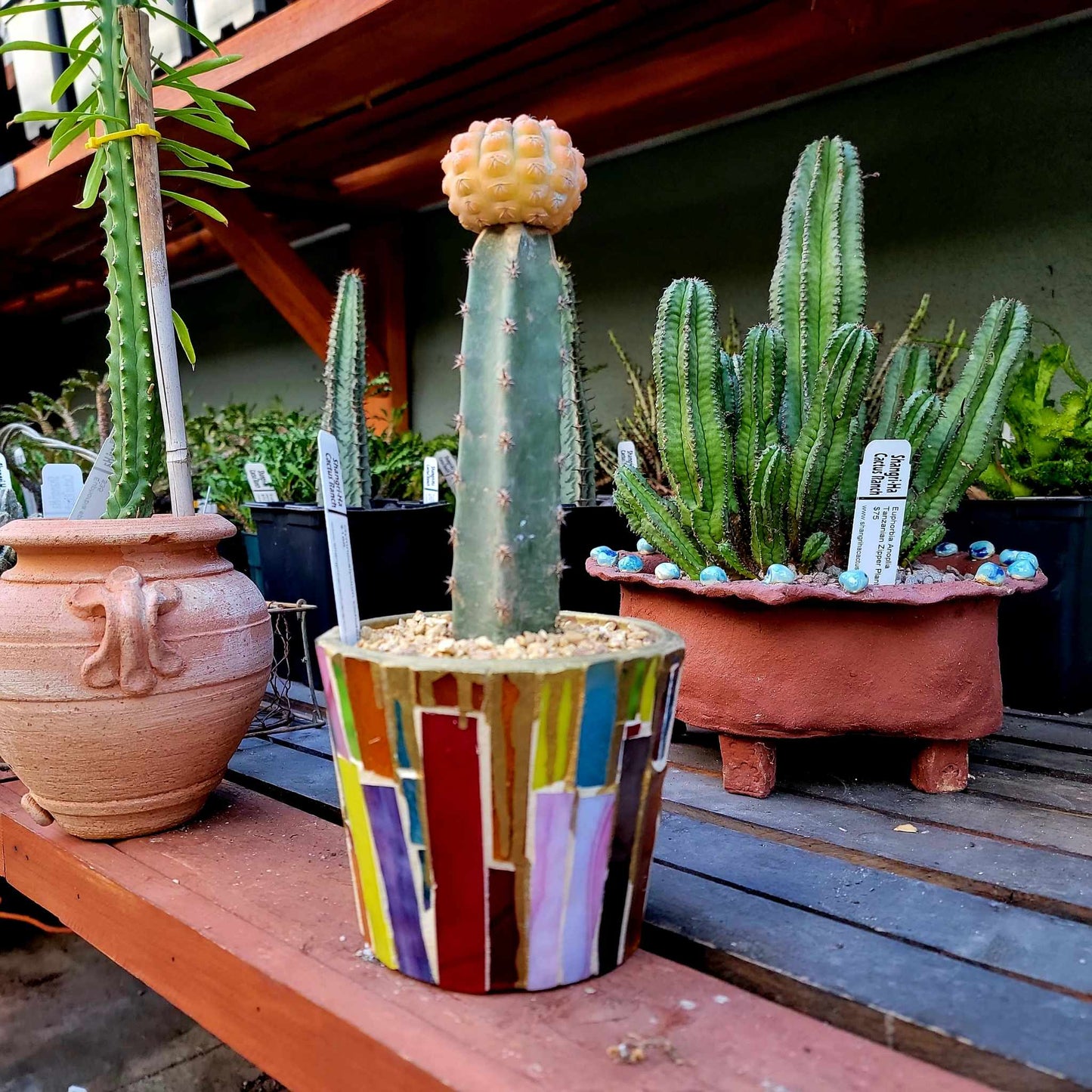 Hand-cut Glass Mosaic on Terra Cotta Planter - 5"