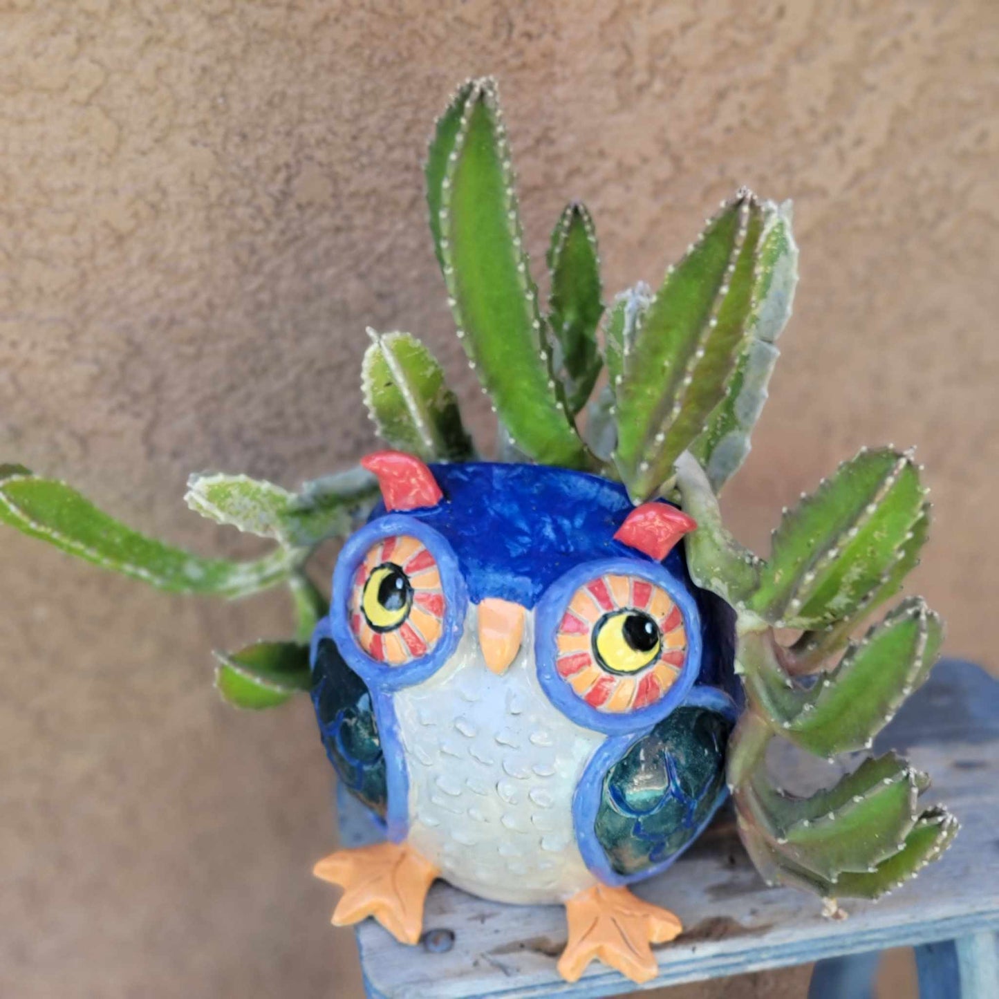 Handmade Ceramic Owl Planter