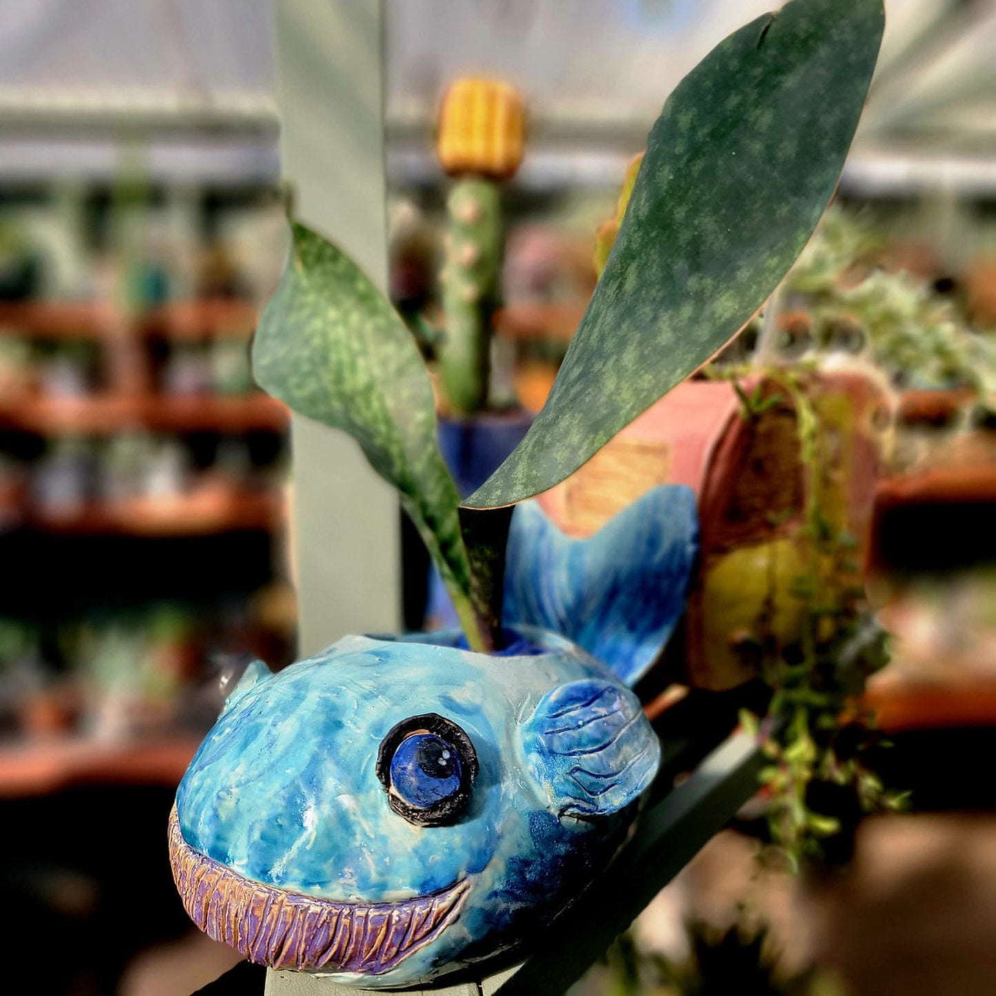 Handmade Ceramic Whale Planter