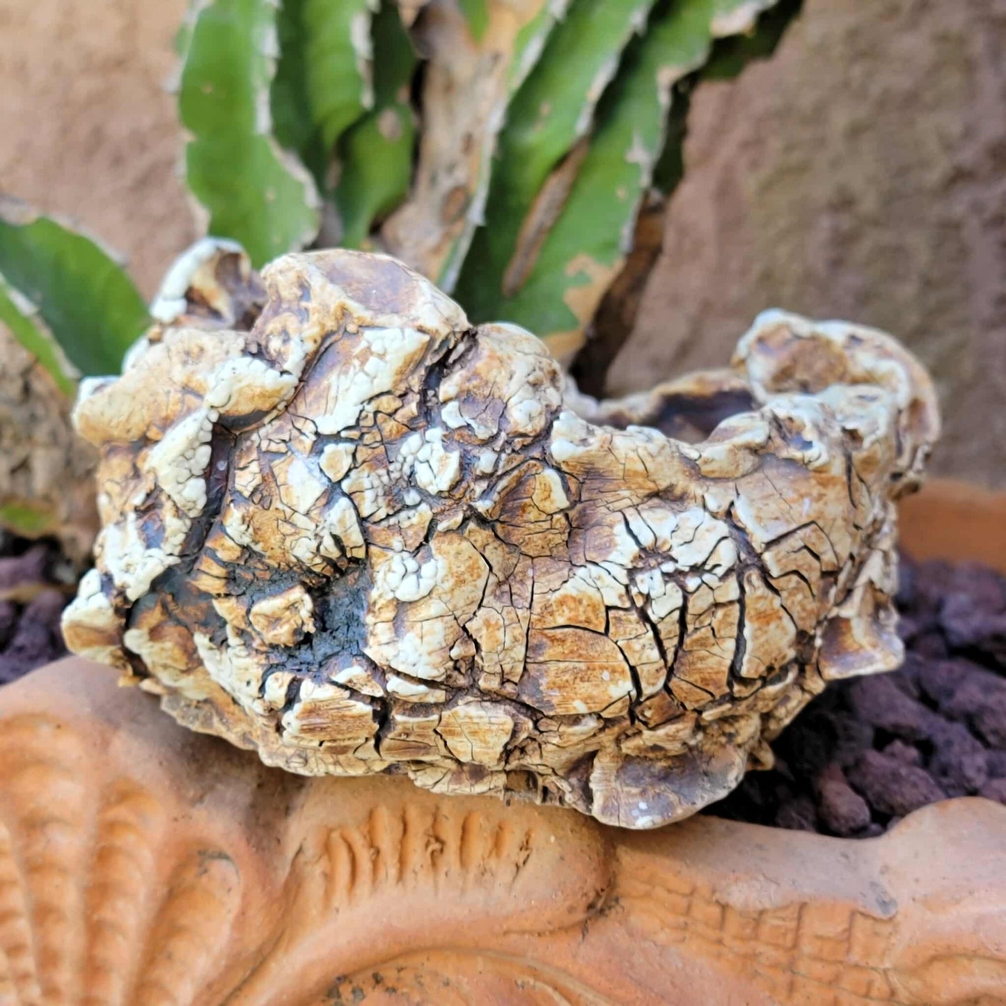 Handmade Pottery - Habitat Collection