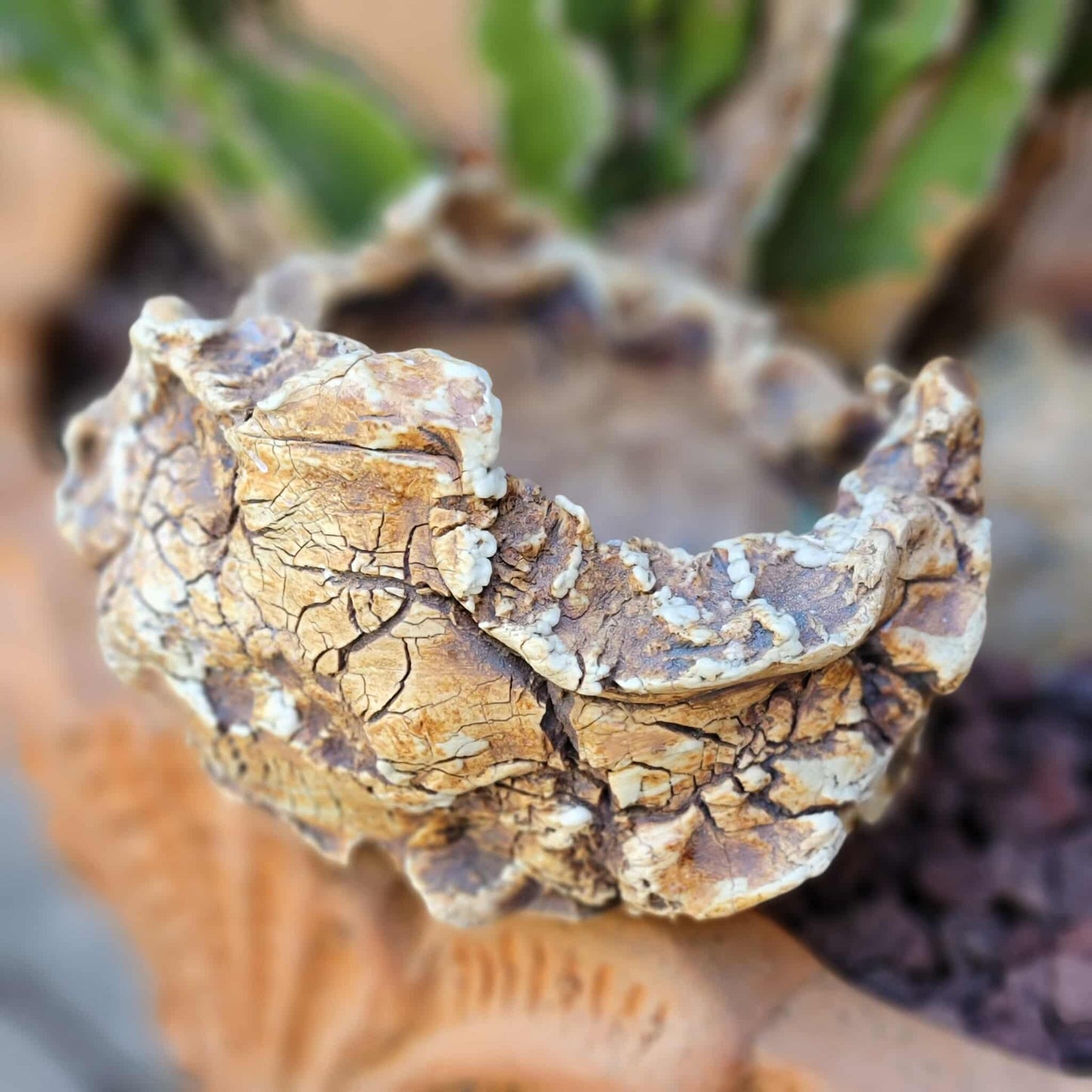 Handmade Pottery - Habitat Collection