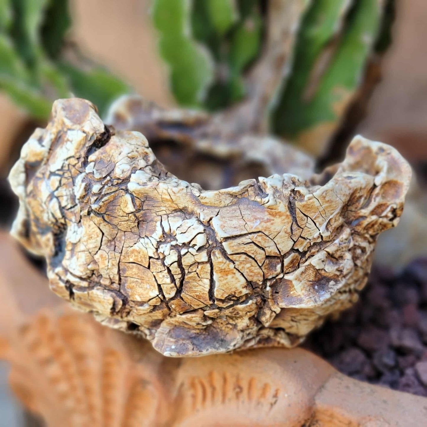 Handmade Pottery - Habitat Collection