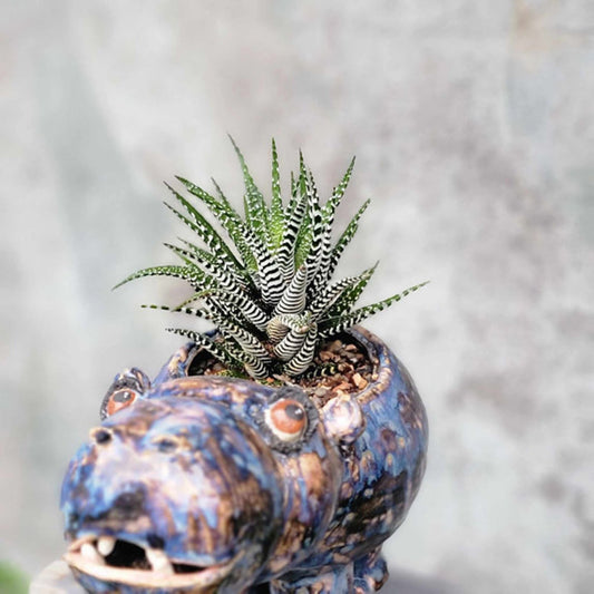 Handmade Ceramic Hippo Planter