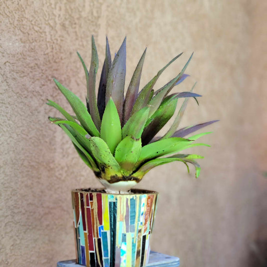 Hand-cut Glass Mosaic on Terra Cotta Planter - 8"
