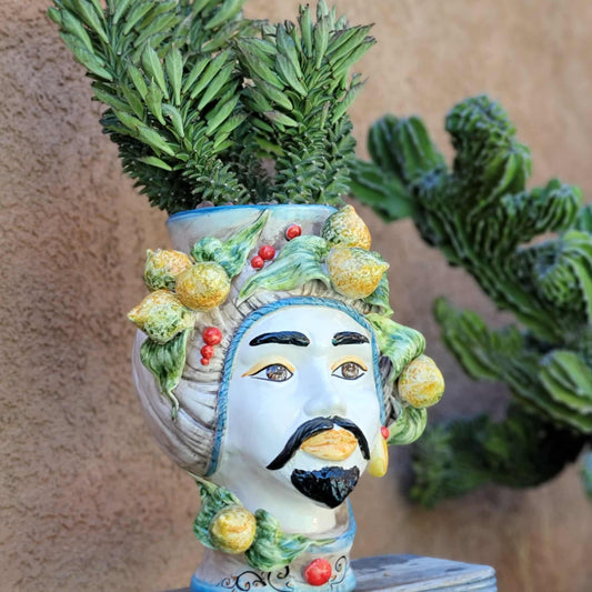 Monadenium schubei ‘Tanzania Red’ - 5 Heads