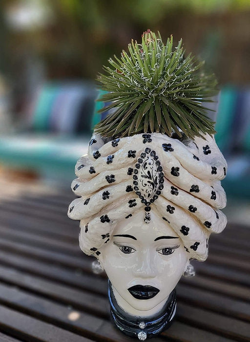 Moor's Head Atena - Queen - White with Black Polka Dots