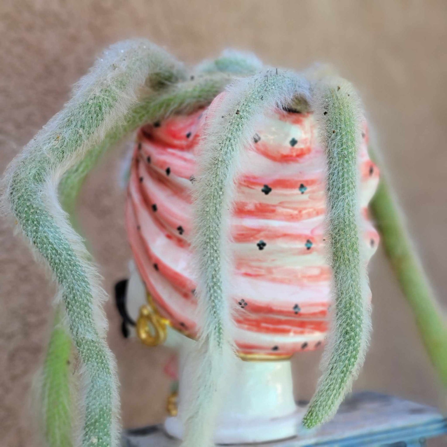 Moor's Head Atena - King - Gold Polka Dots