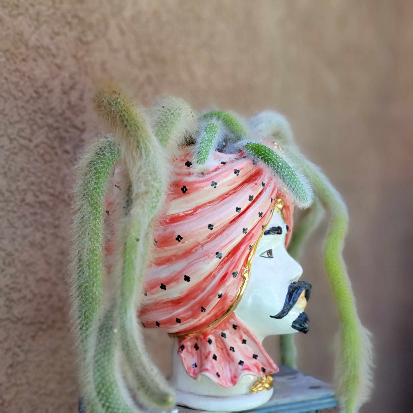 Moor's Head Atena - King - Gold Polka Dots