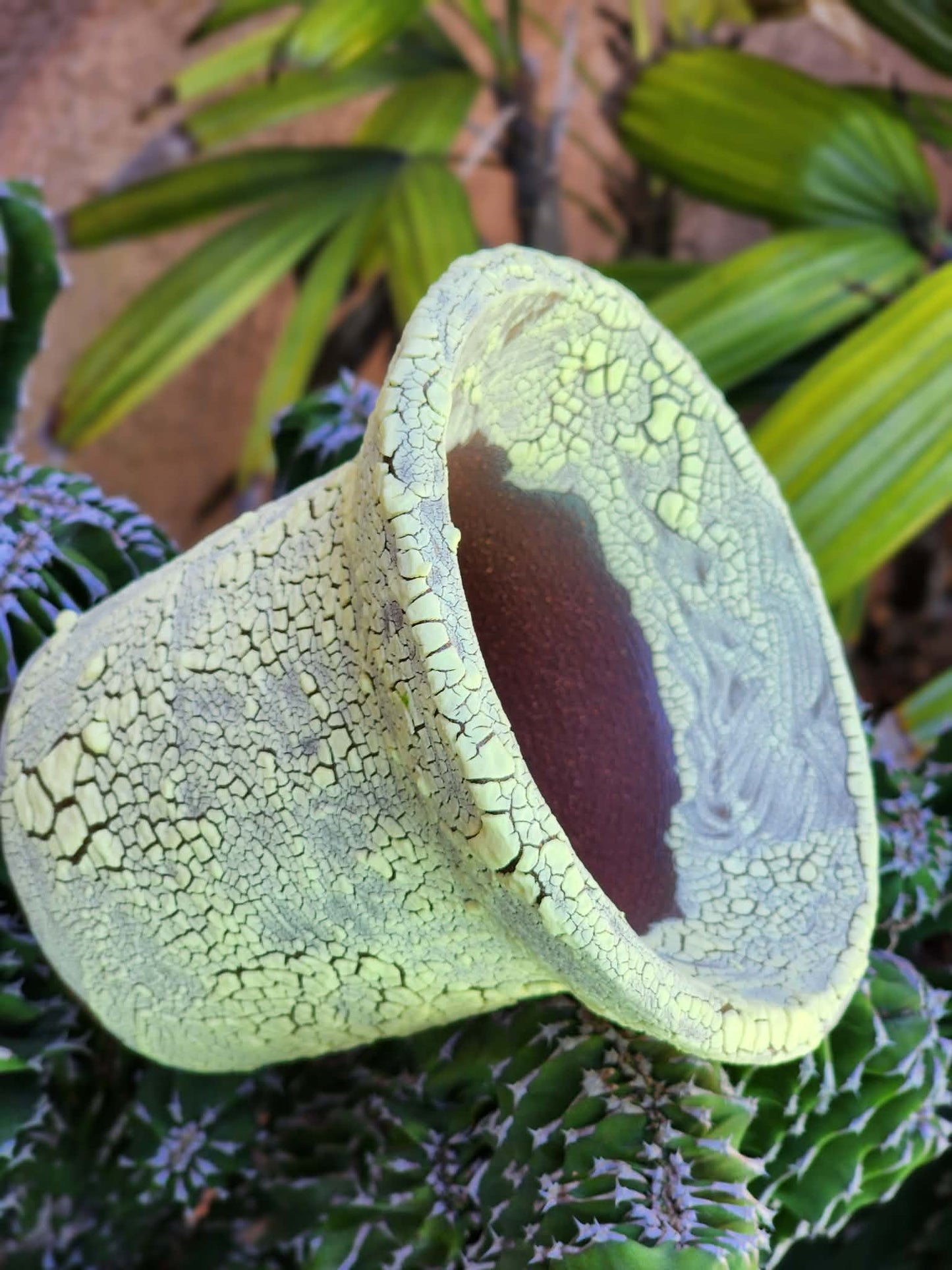 Handmade Pottery - Celadon Bloom Vessel No. 30