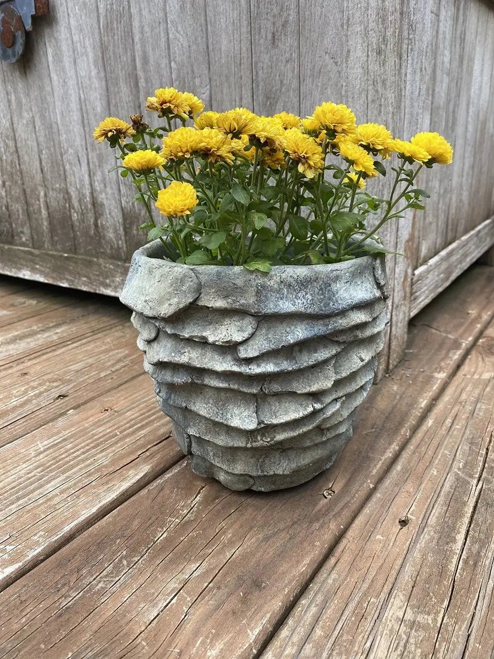 Palm Leaf Concrete Planter - Large