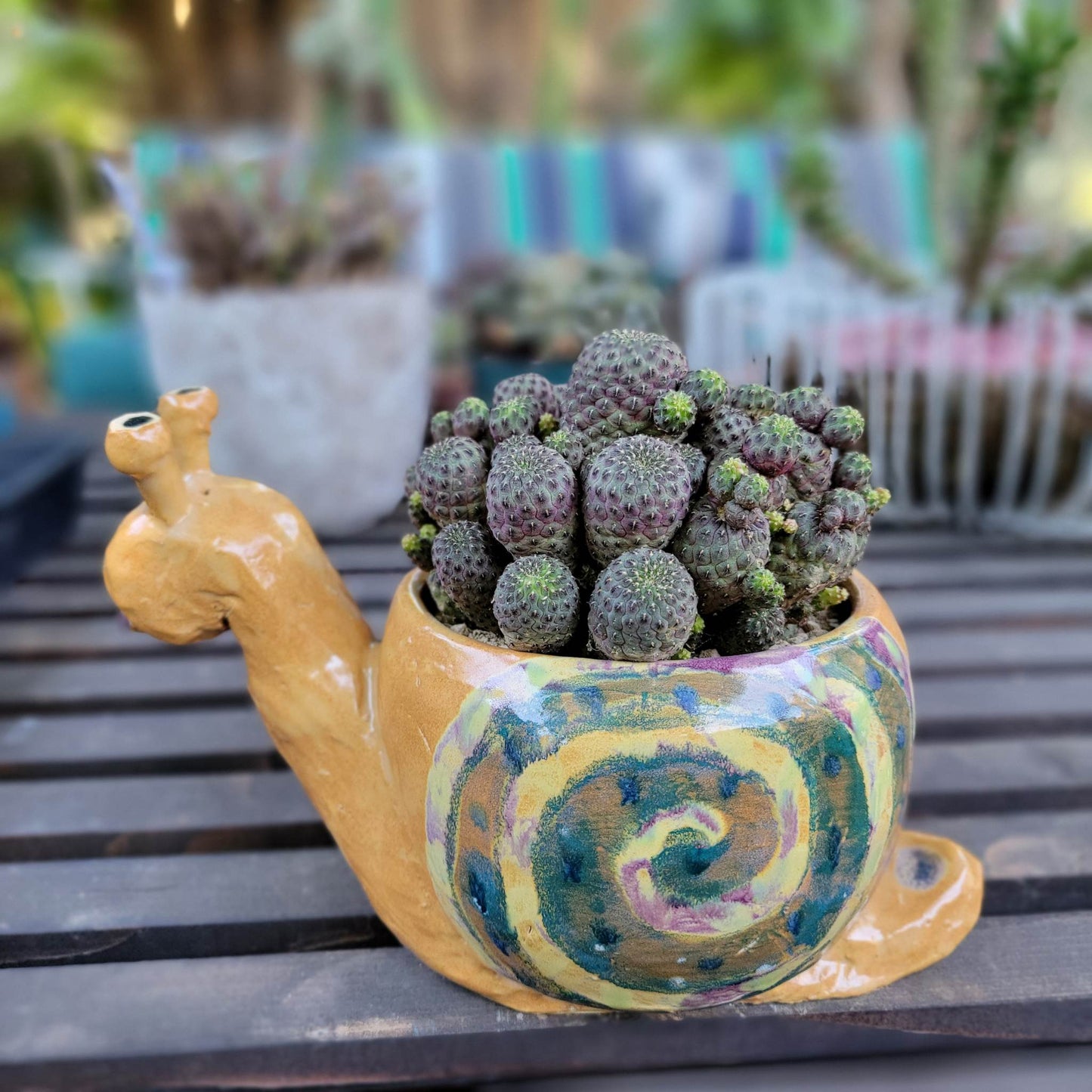 Handmade Ceramic Snail Planter