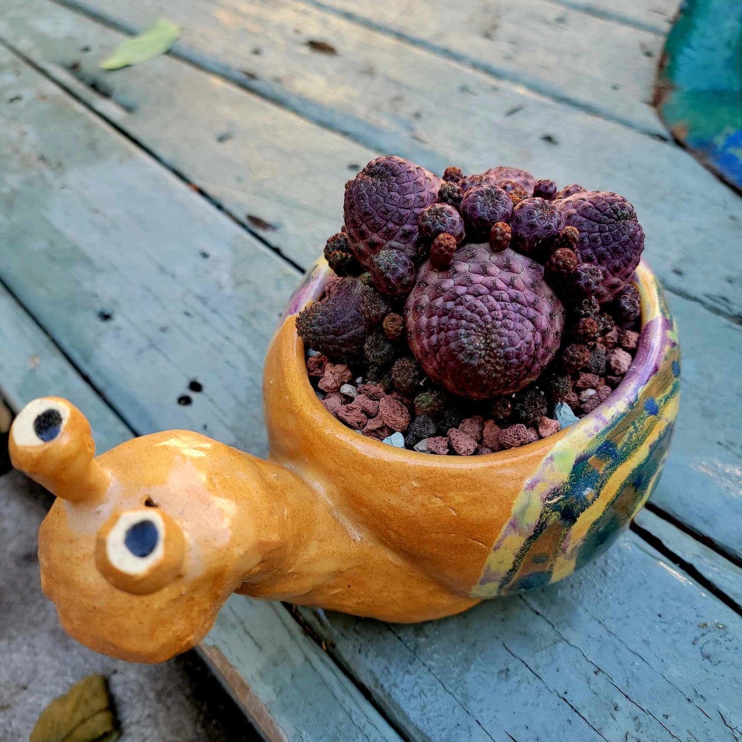 Handmade Ceramic Snail Planter