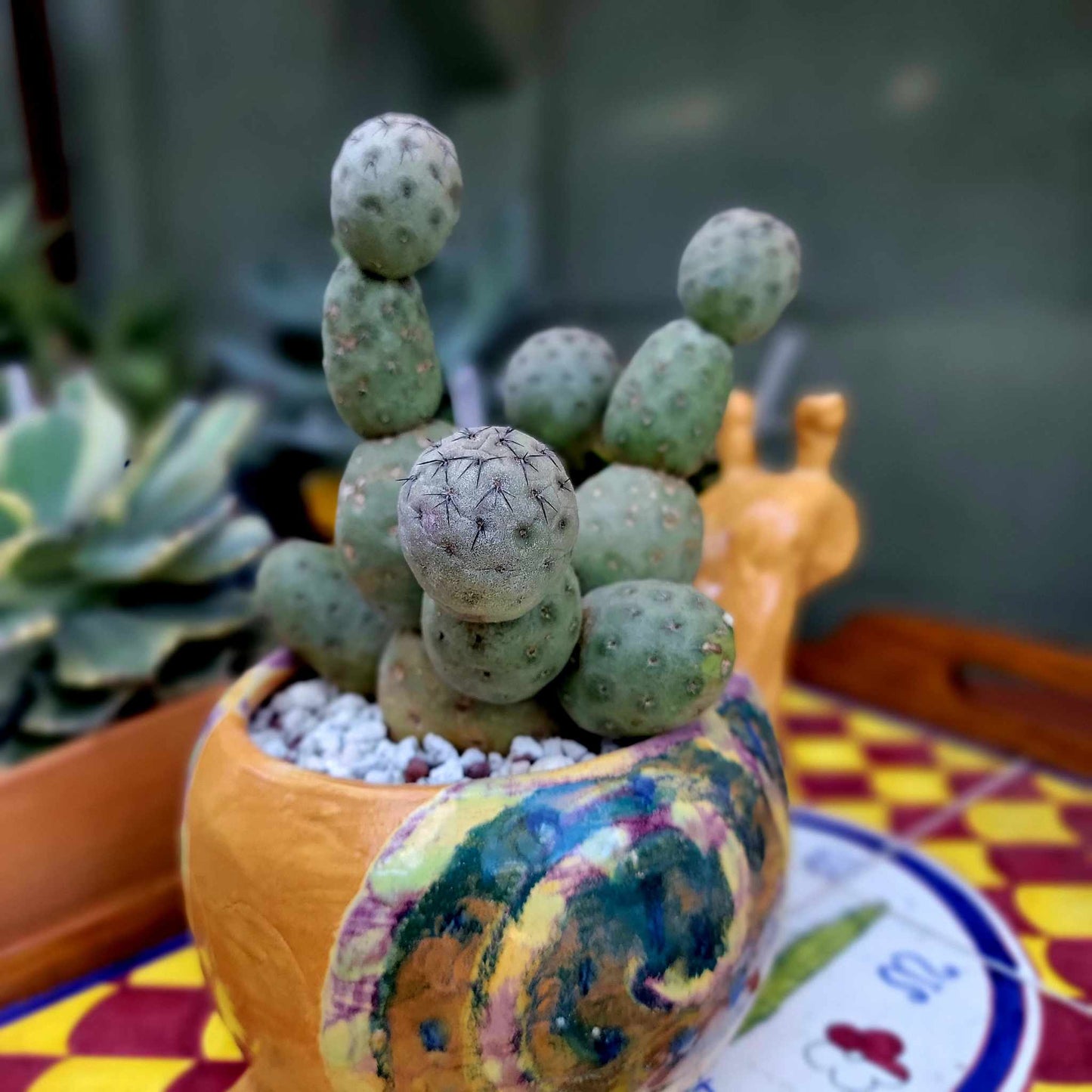 Handmade Ceramic Snail Planter