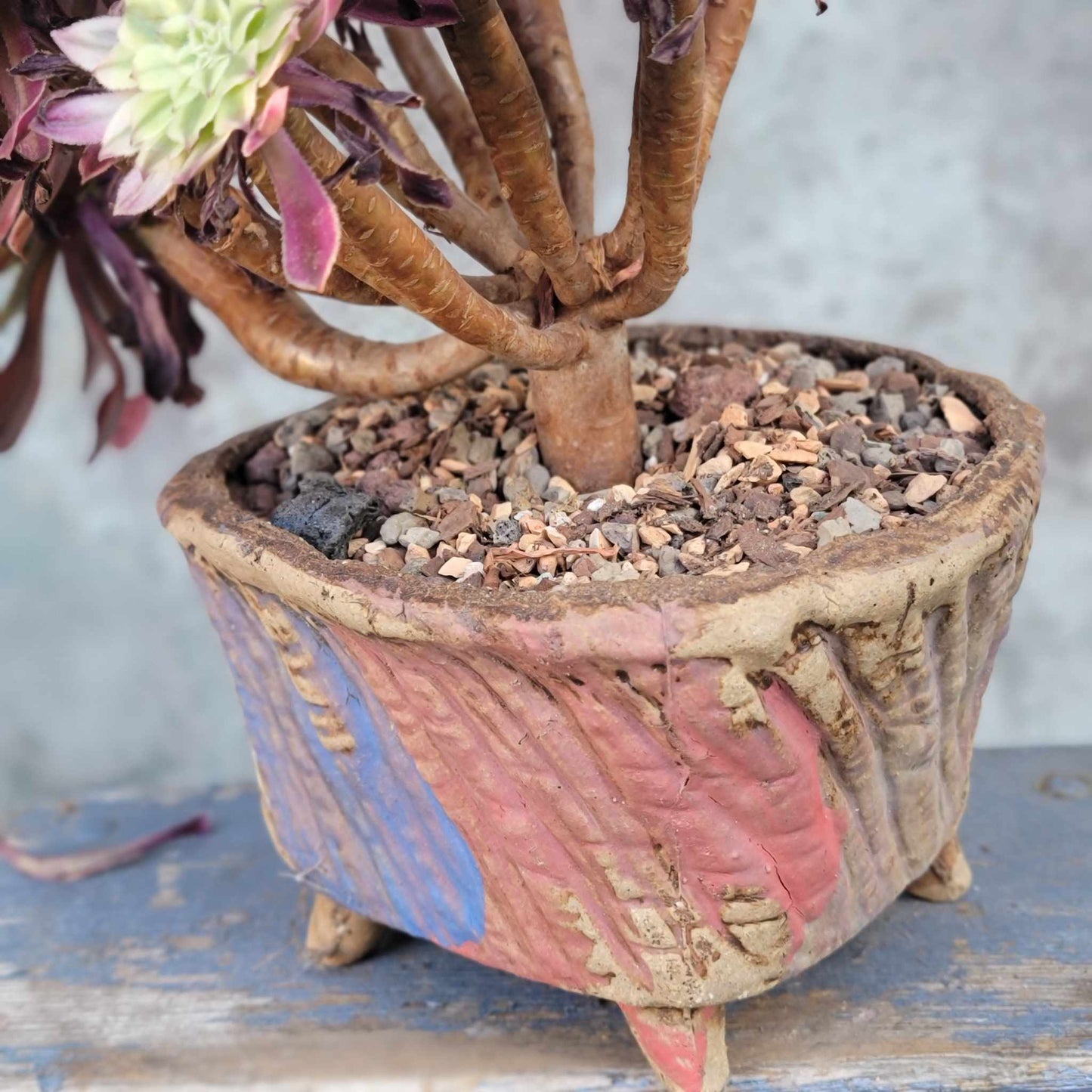Terra Cotta Planter - Watercolor Series - Blue & Rose