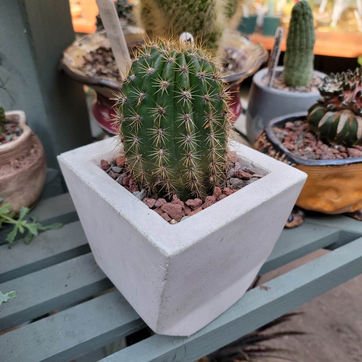 Geometric Cement Planter