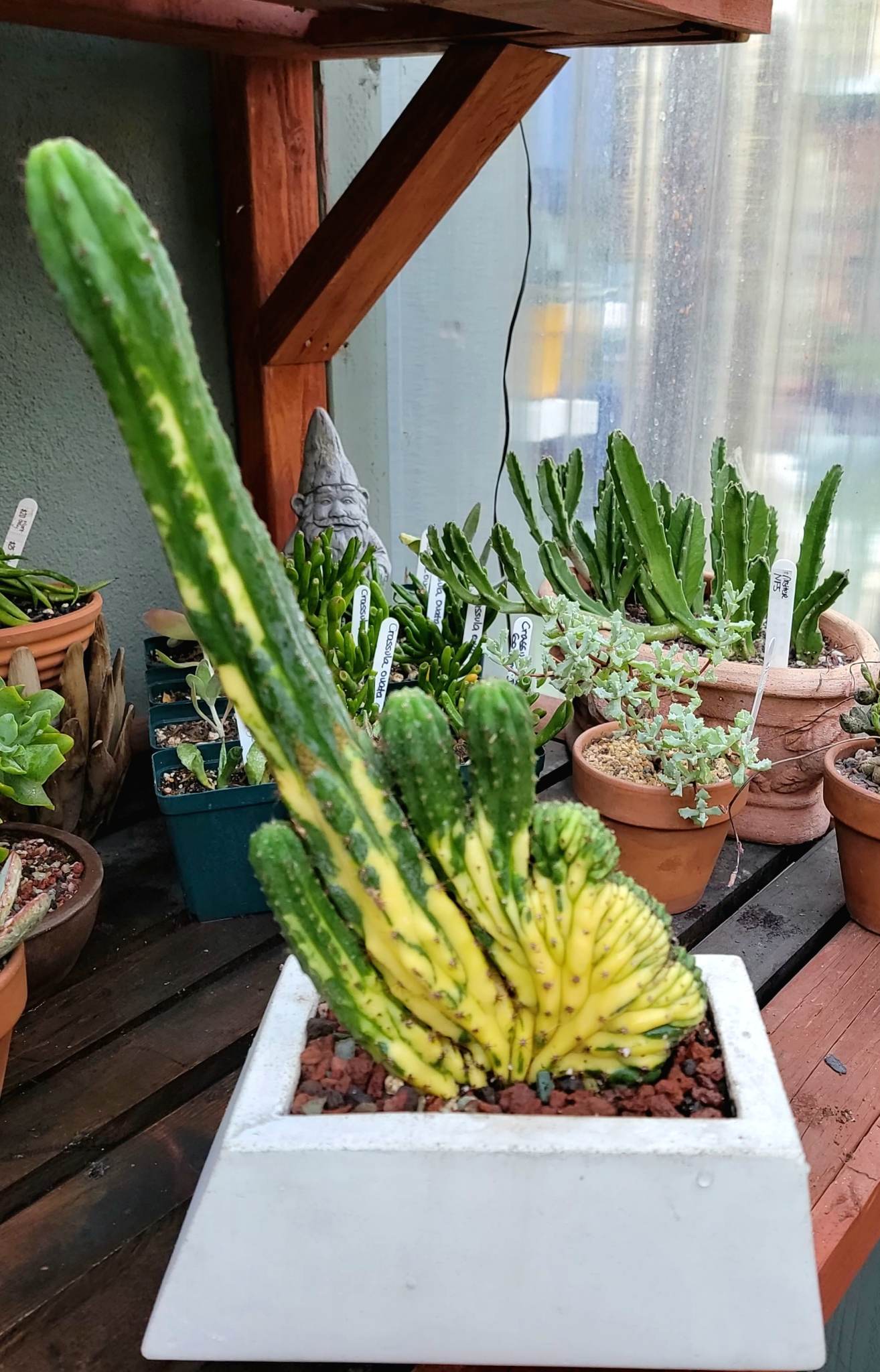 Geometric Cement Planter - Medium