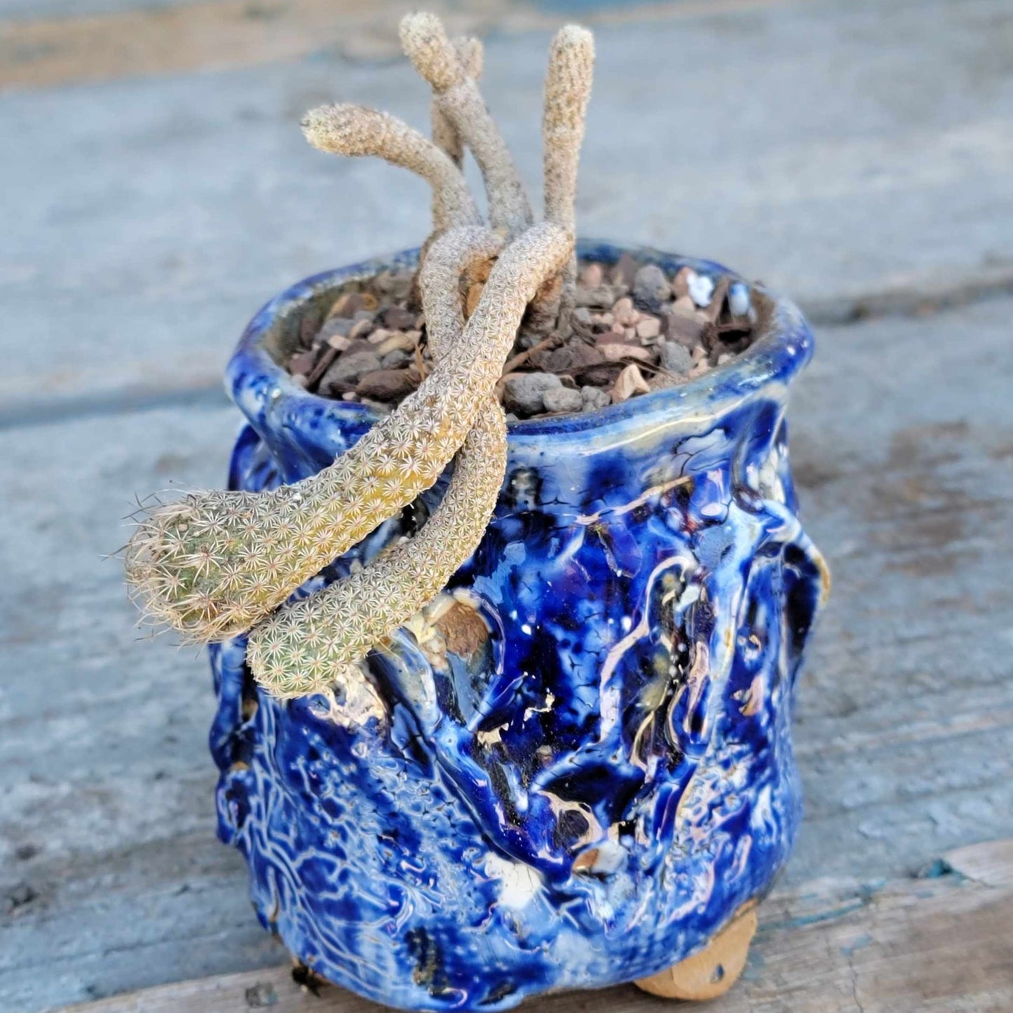 Terra Cotta Planter