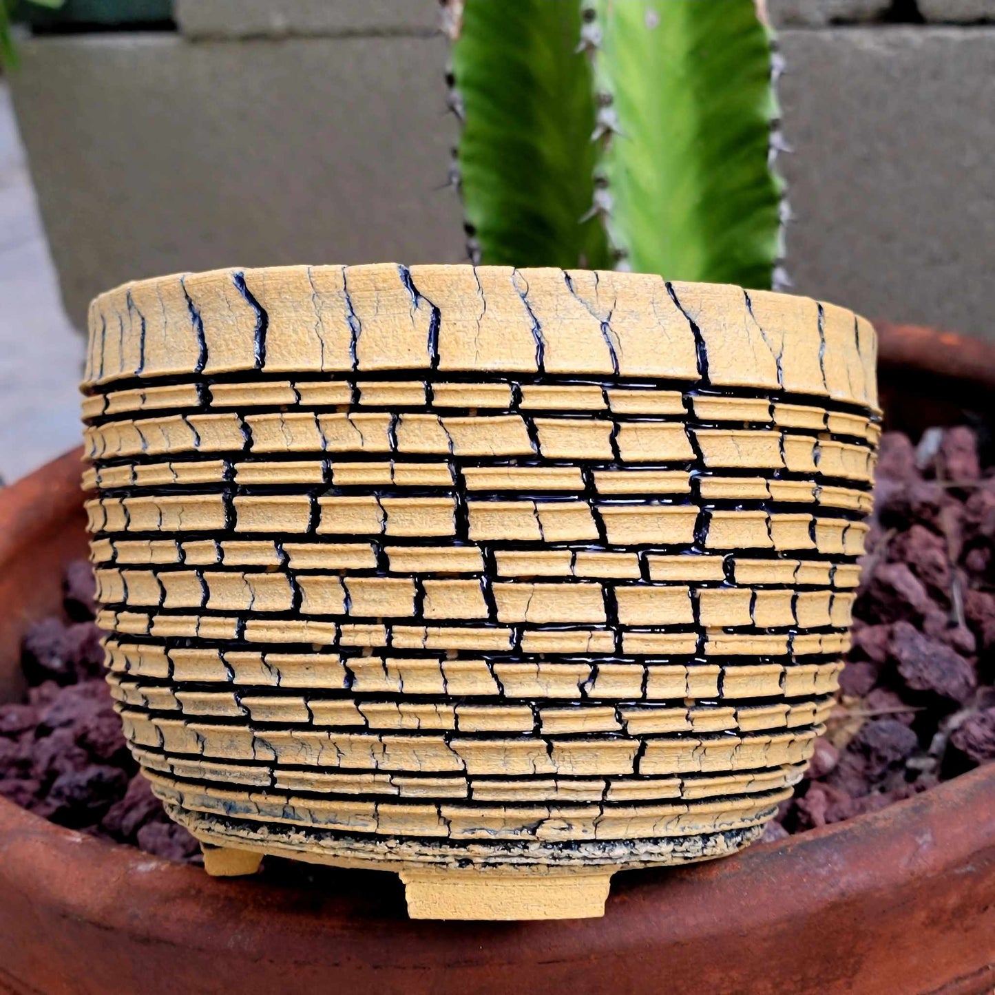 Peety Pots by Pablo Handmade Pottery image 1