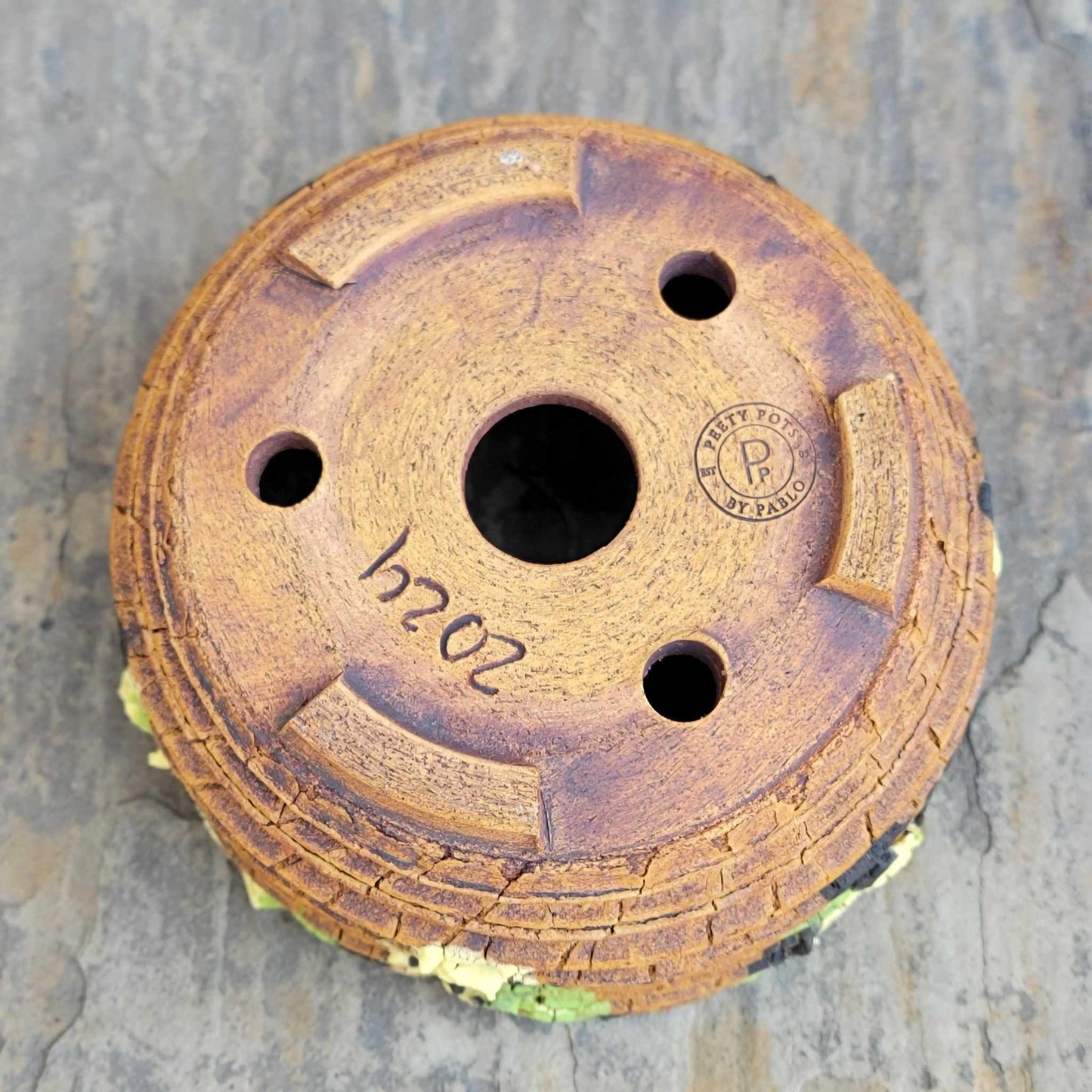 Peety Pots by Pablo Handmade Pottery image 7