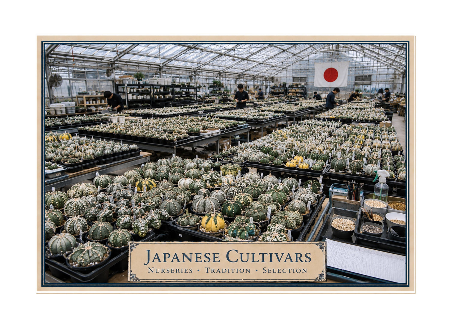 Japan